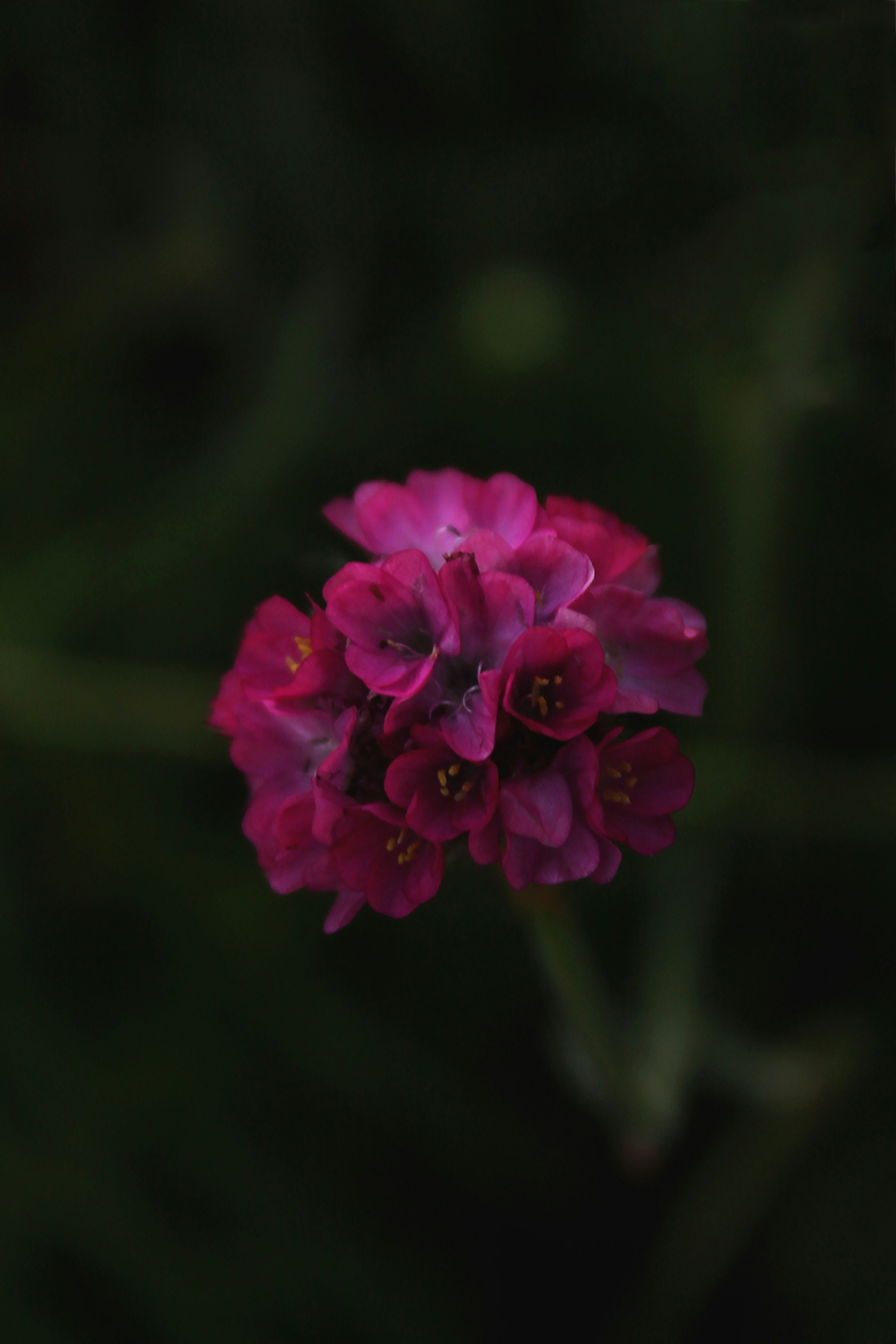 Photo by wswierzgon