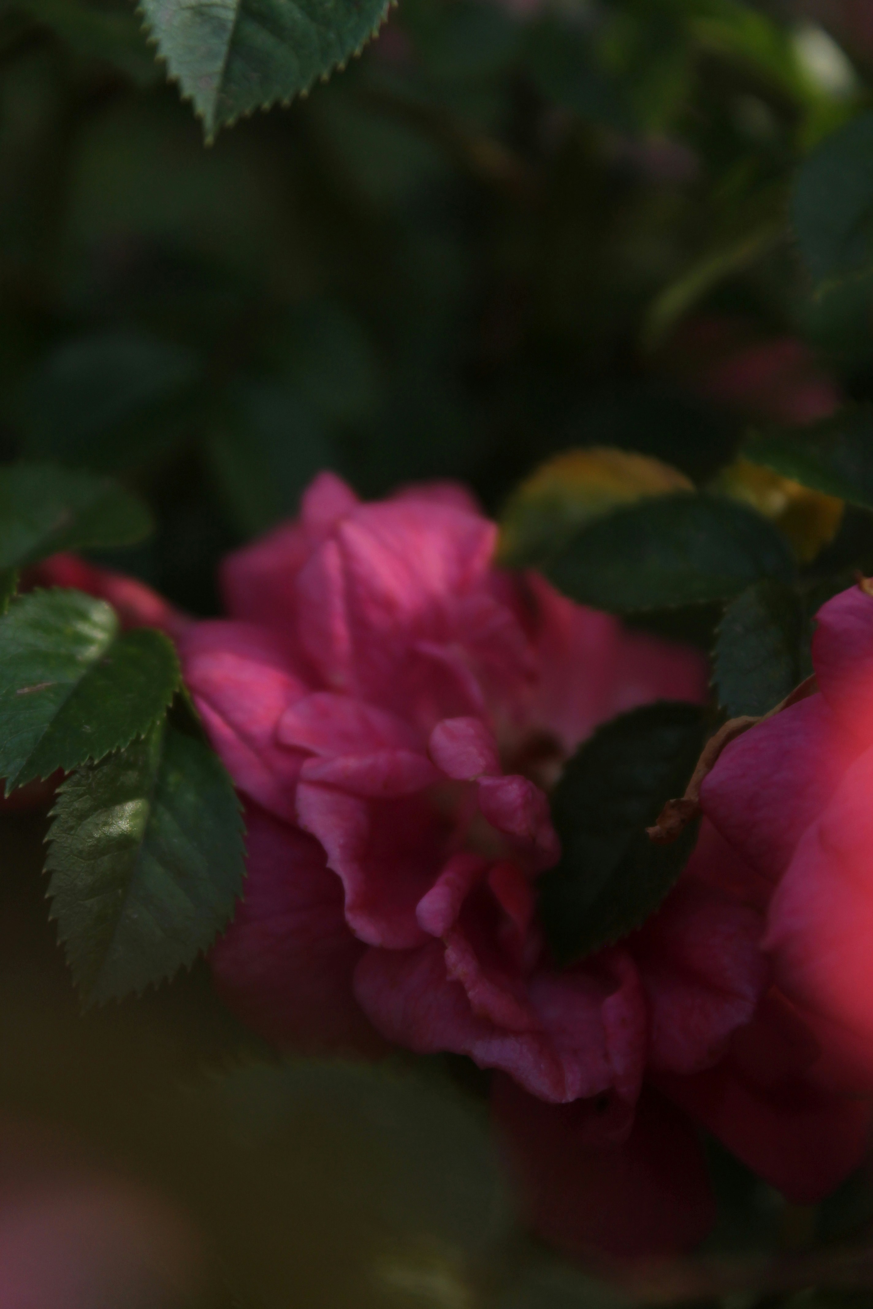 Photo by wswierzgon