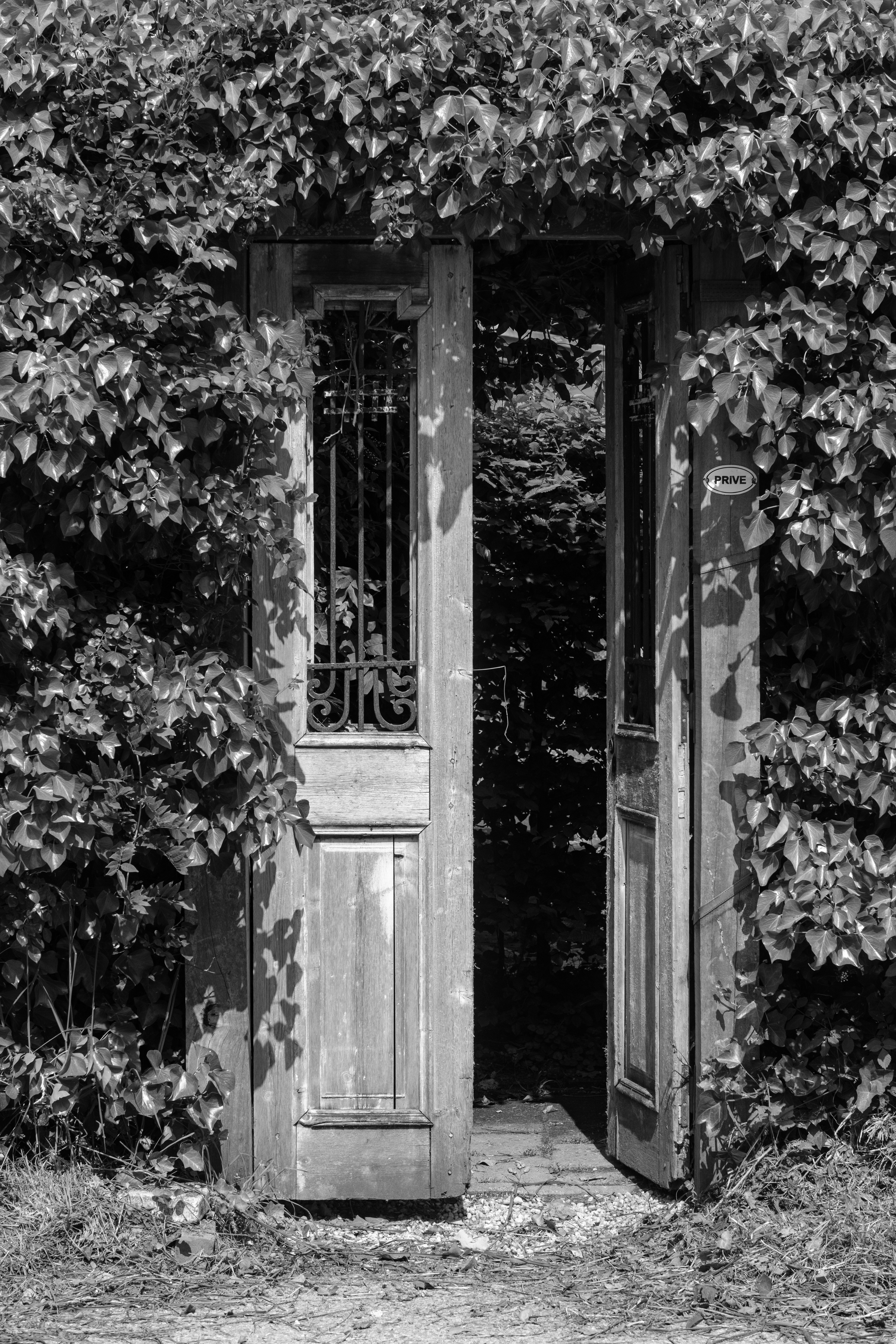 Photo by haberdoedas2