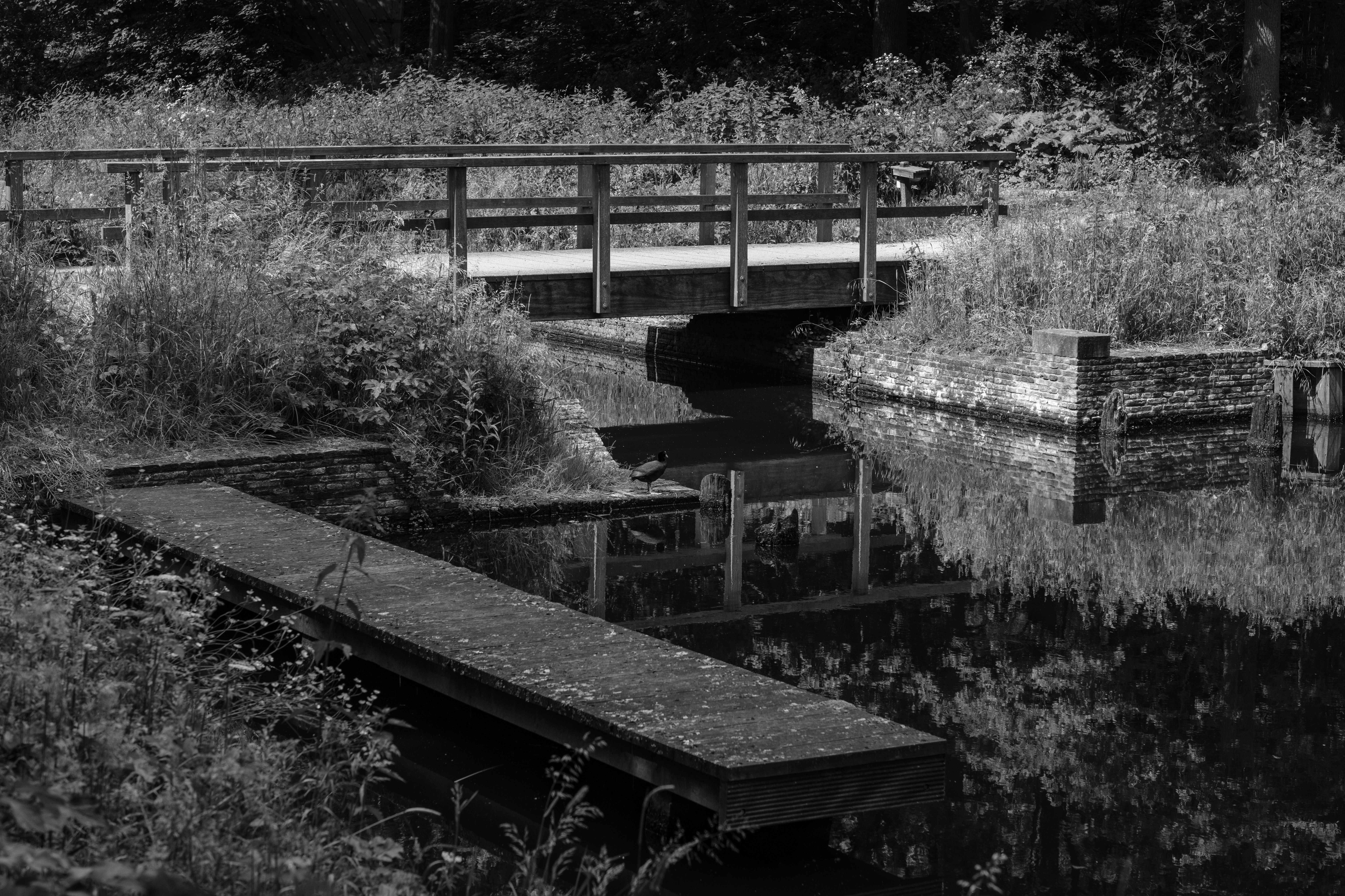 Photo by haberdoedas2