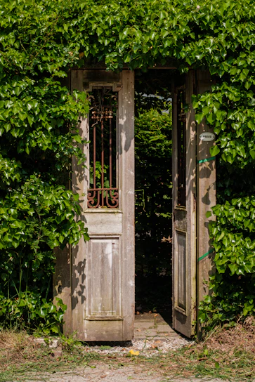an old wooden door surrounded by green plants