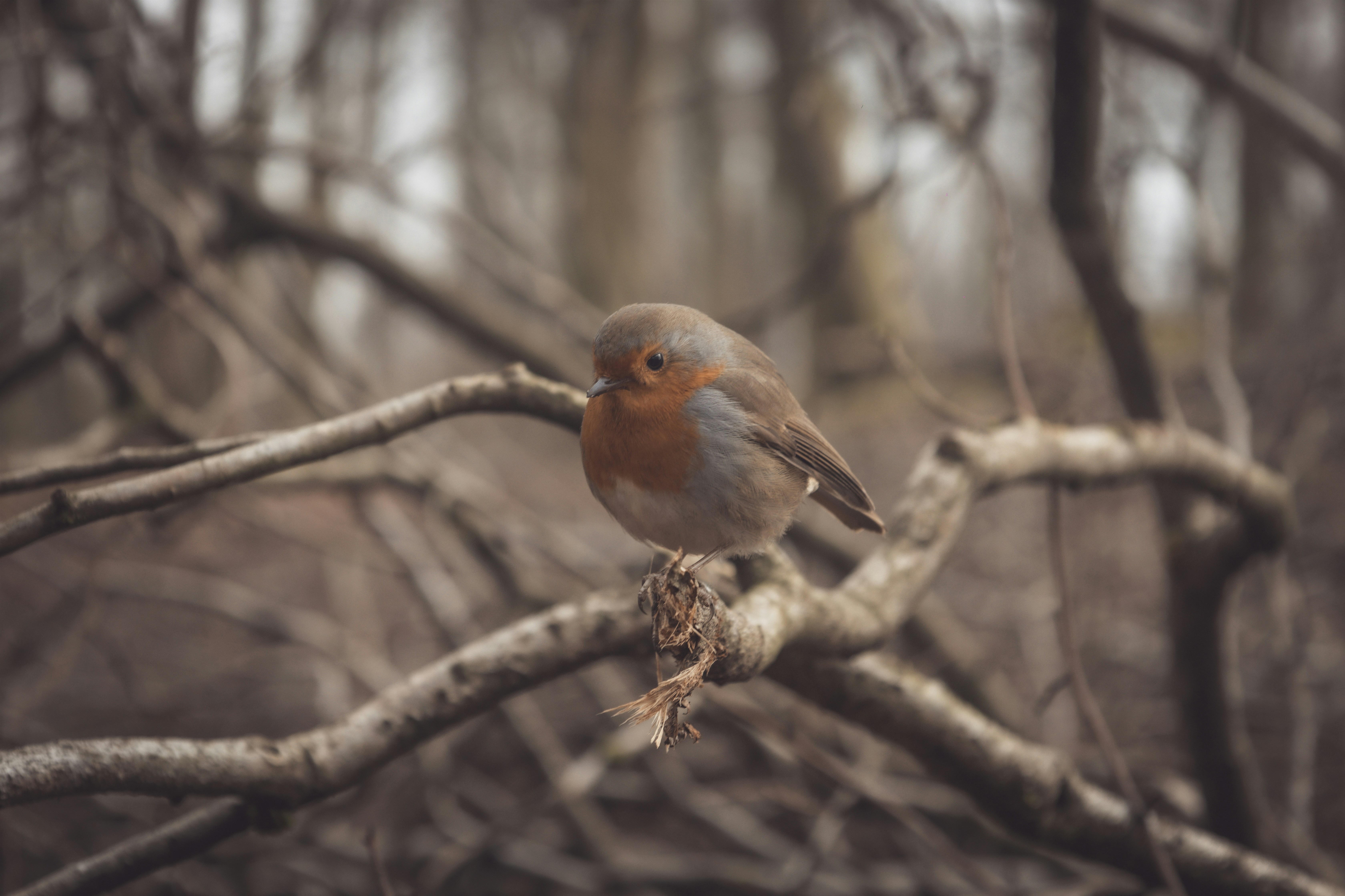 Photo by sammeller