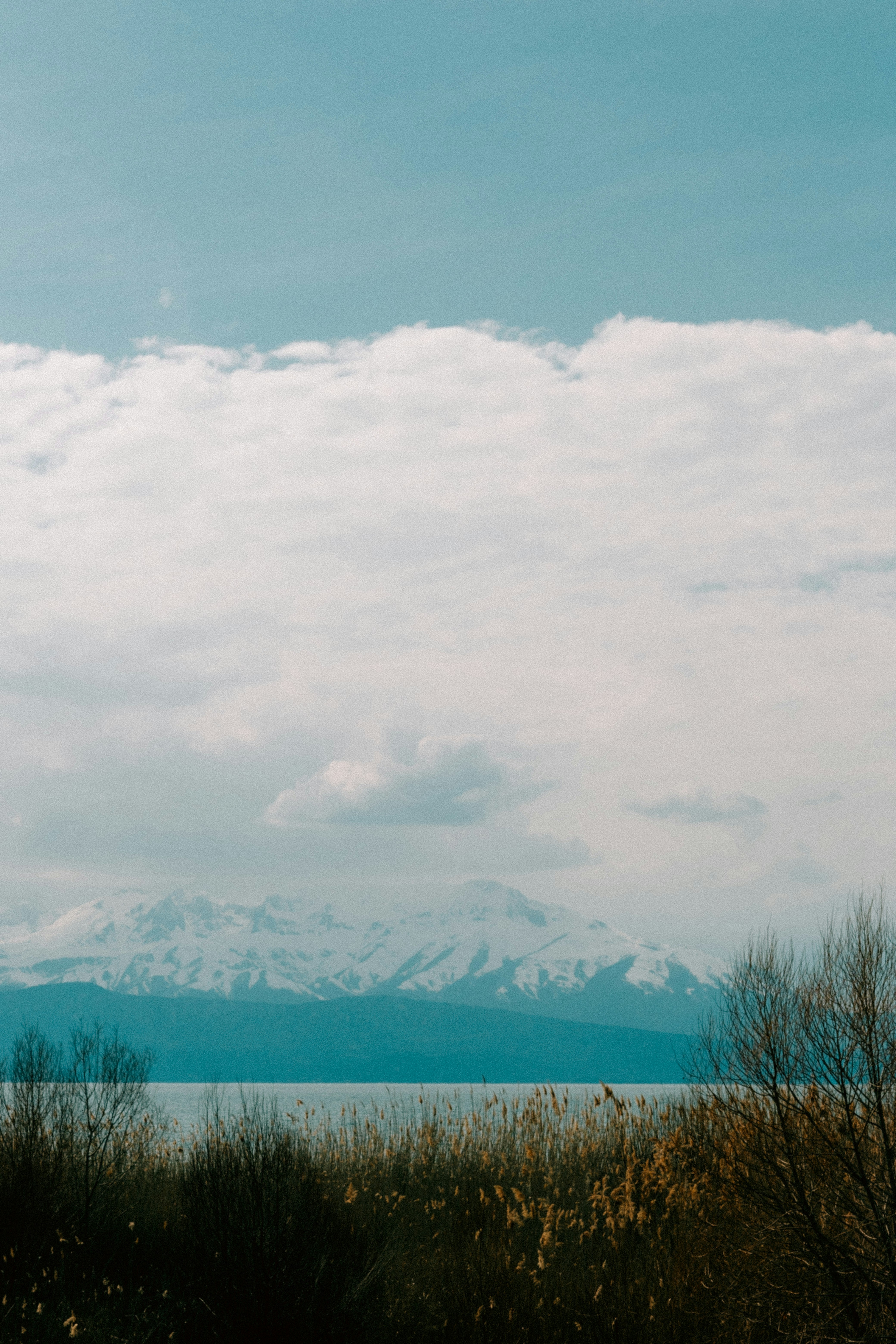 Photo by tunaekici
