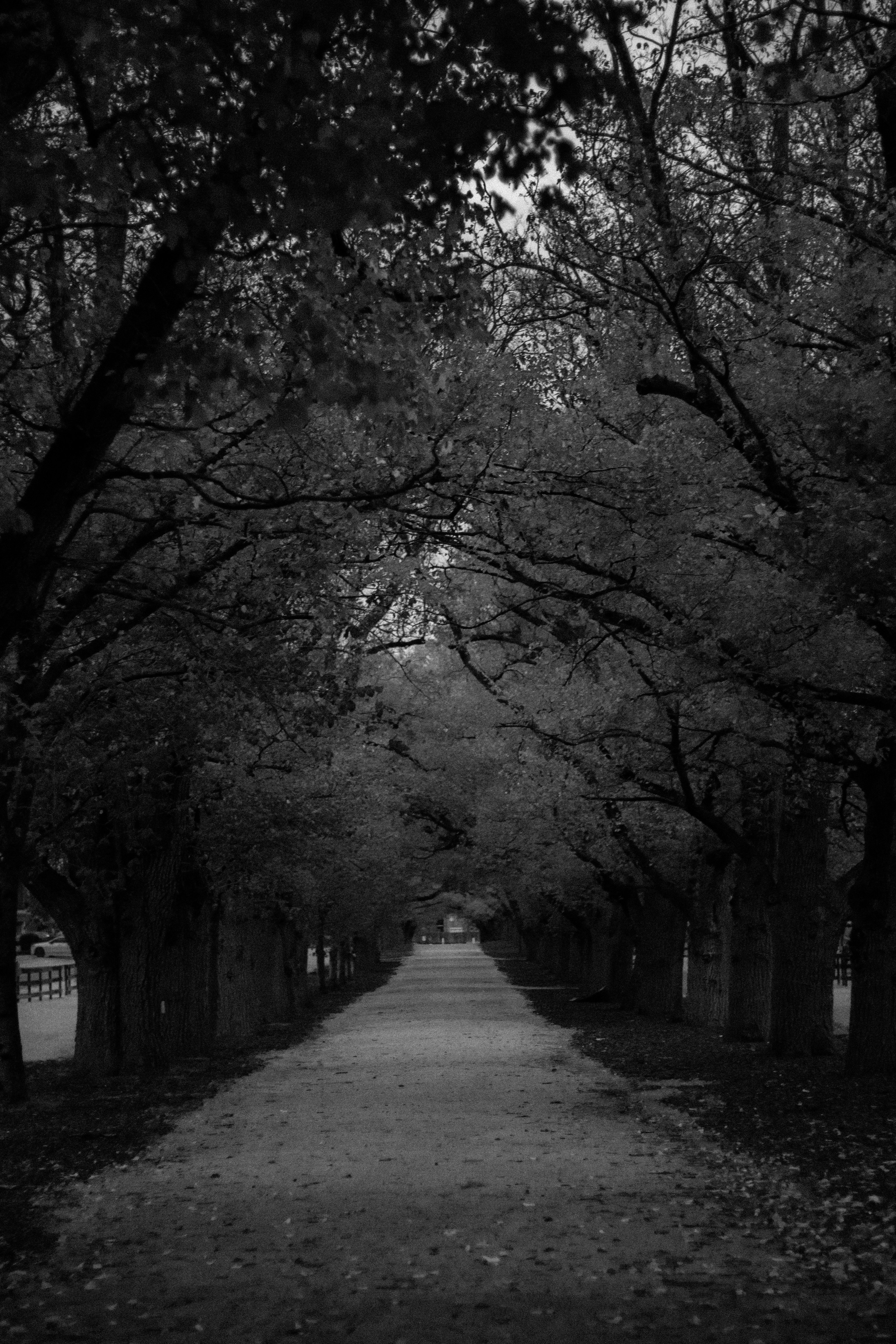 Photo by gabriellefaithhenderson