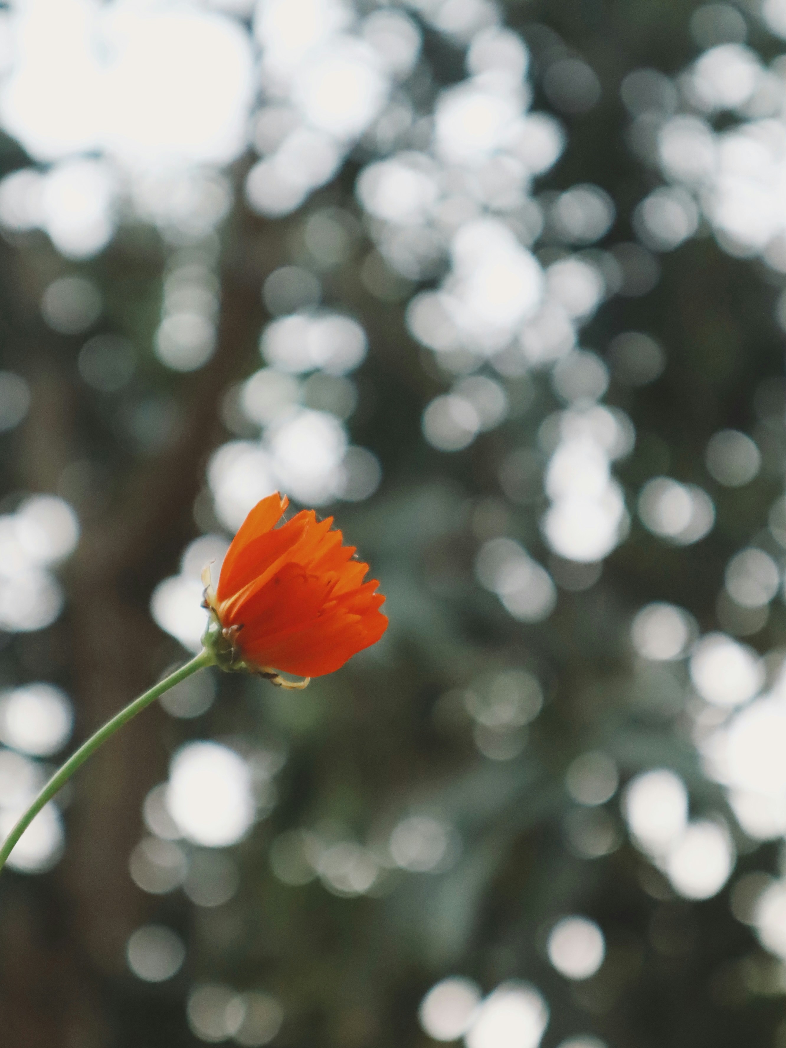 Photo by aryasphotodiary