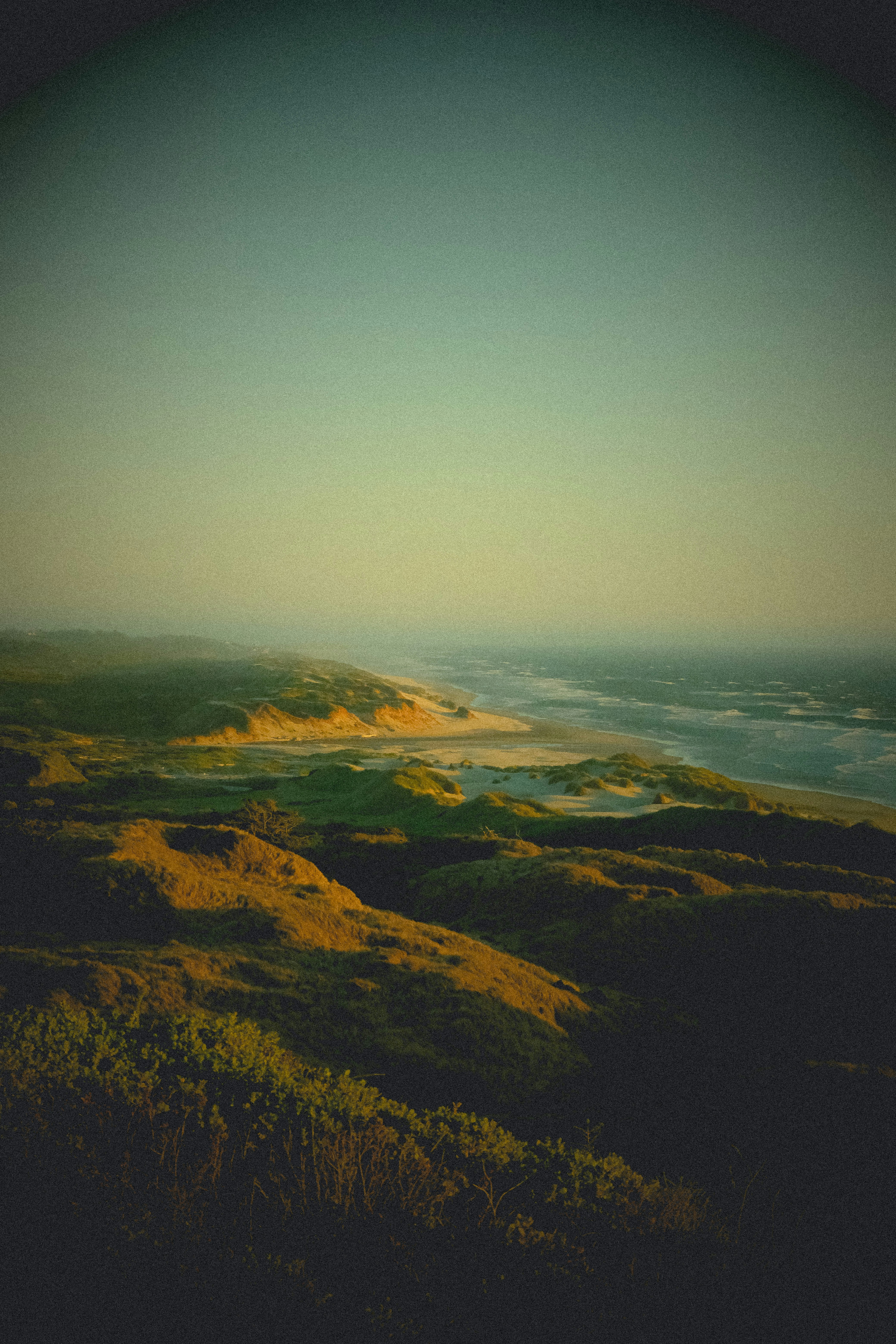 A view of the ocean from the top of a hill photo – Free Green Image on ...