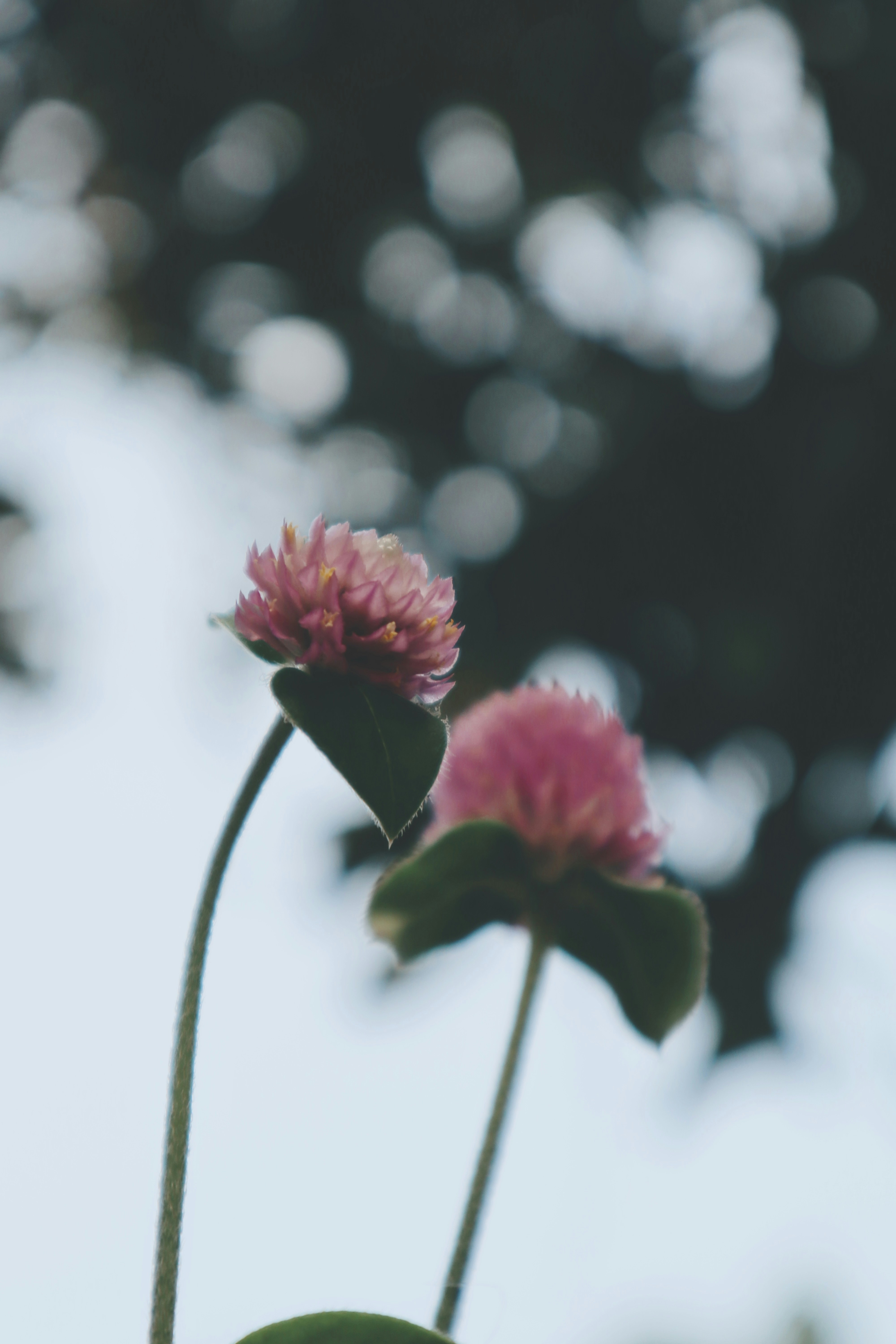 Photo by aryasphotodiary