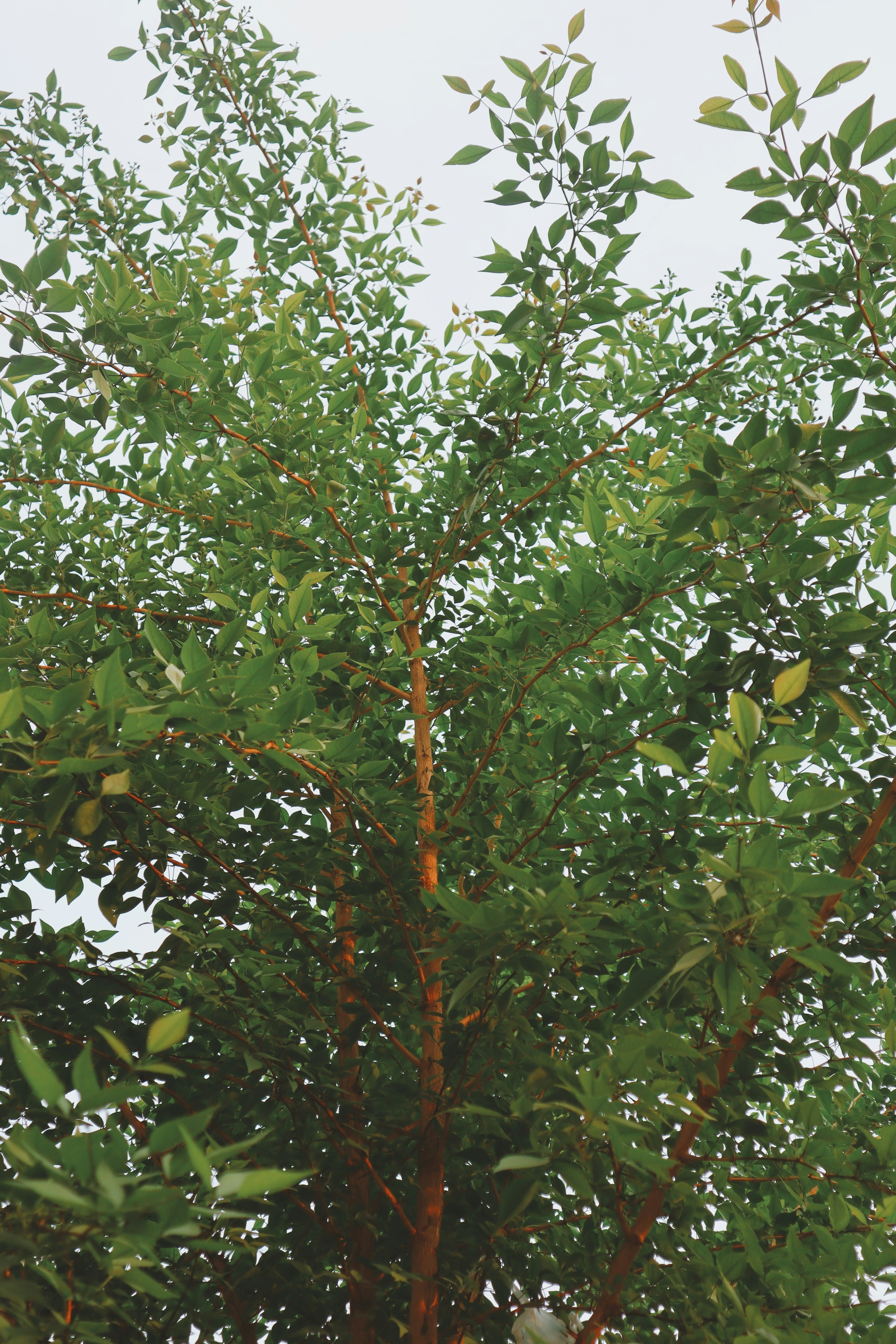 Photo by aryasphotodiary