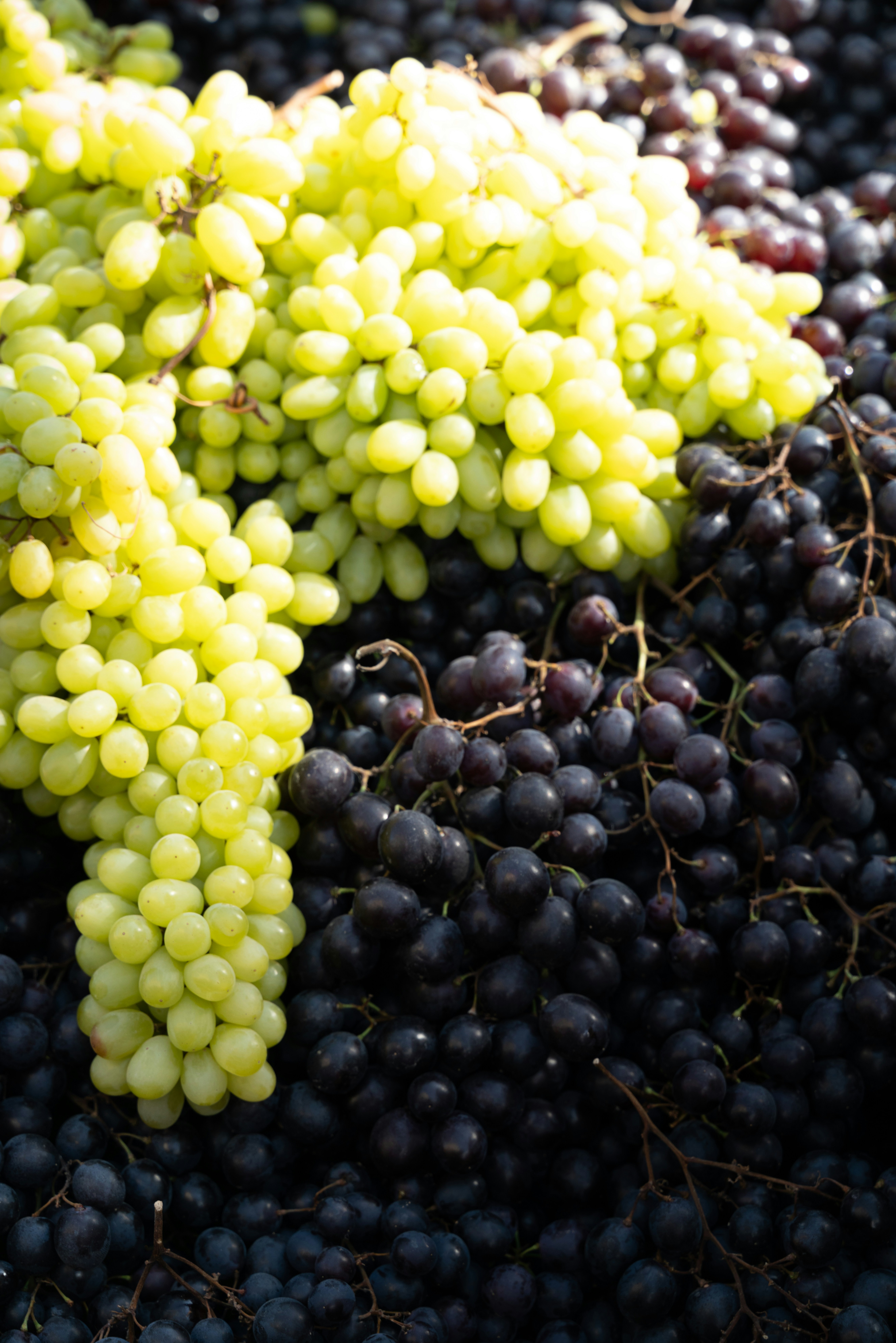 Photo by austin_7792