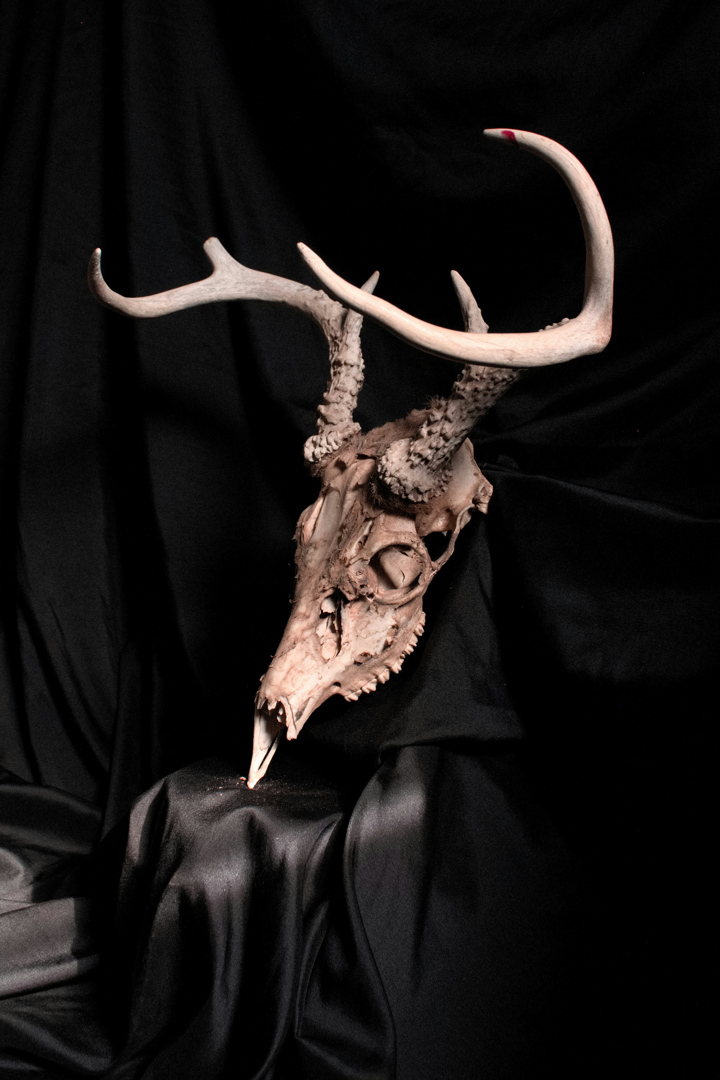 Photo by jodiegowens