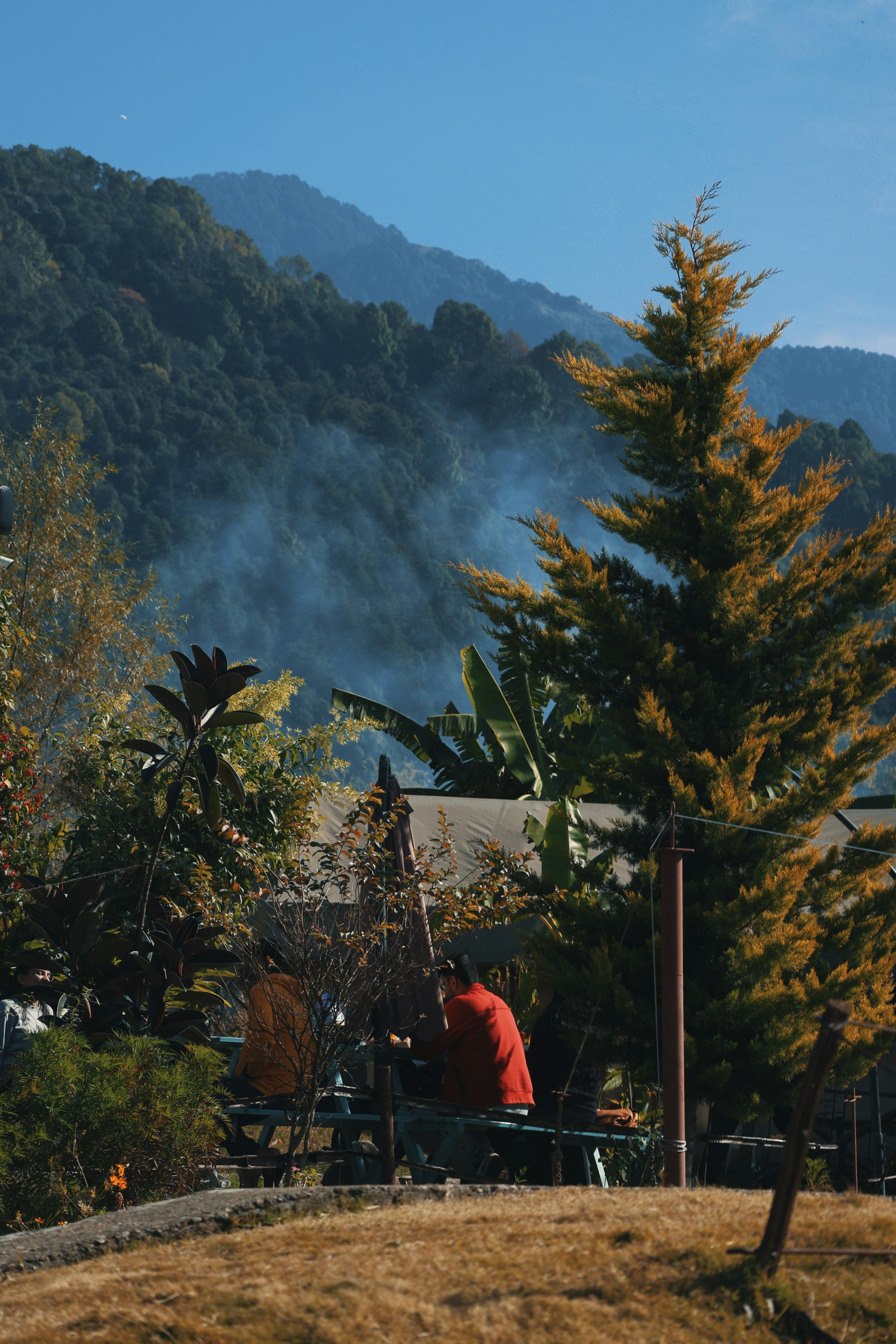 a person sitting on a bench in front of a mountain