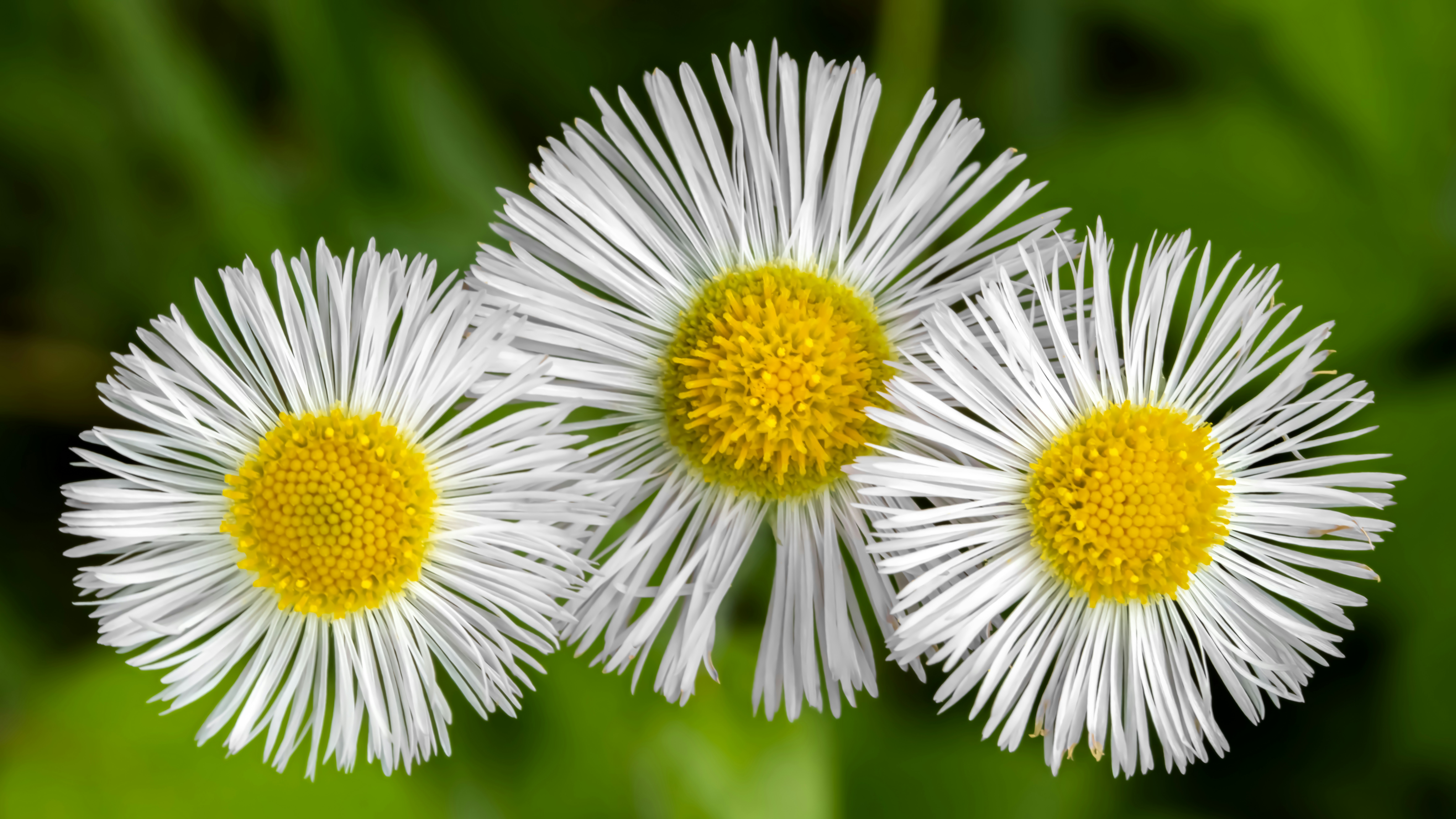 Photo by peterbbryan