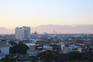 a view of a city with mountains in the background