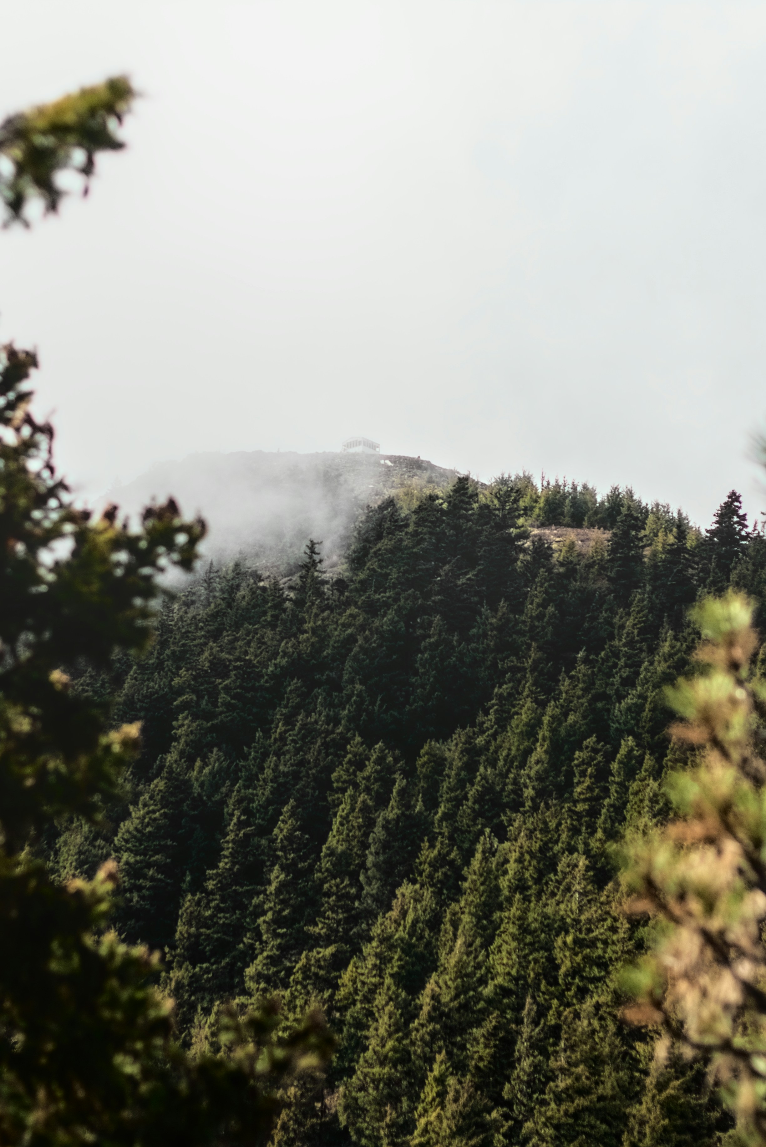 Photo by dcanadianphotographer