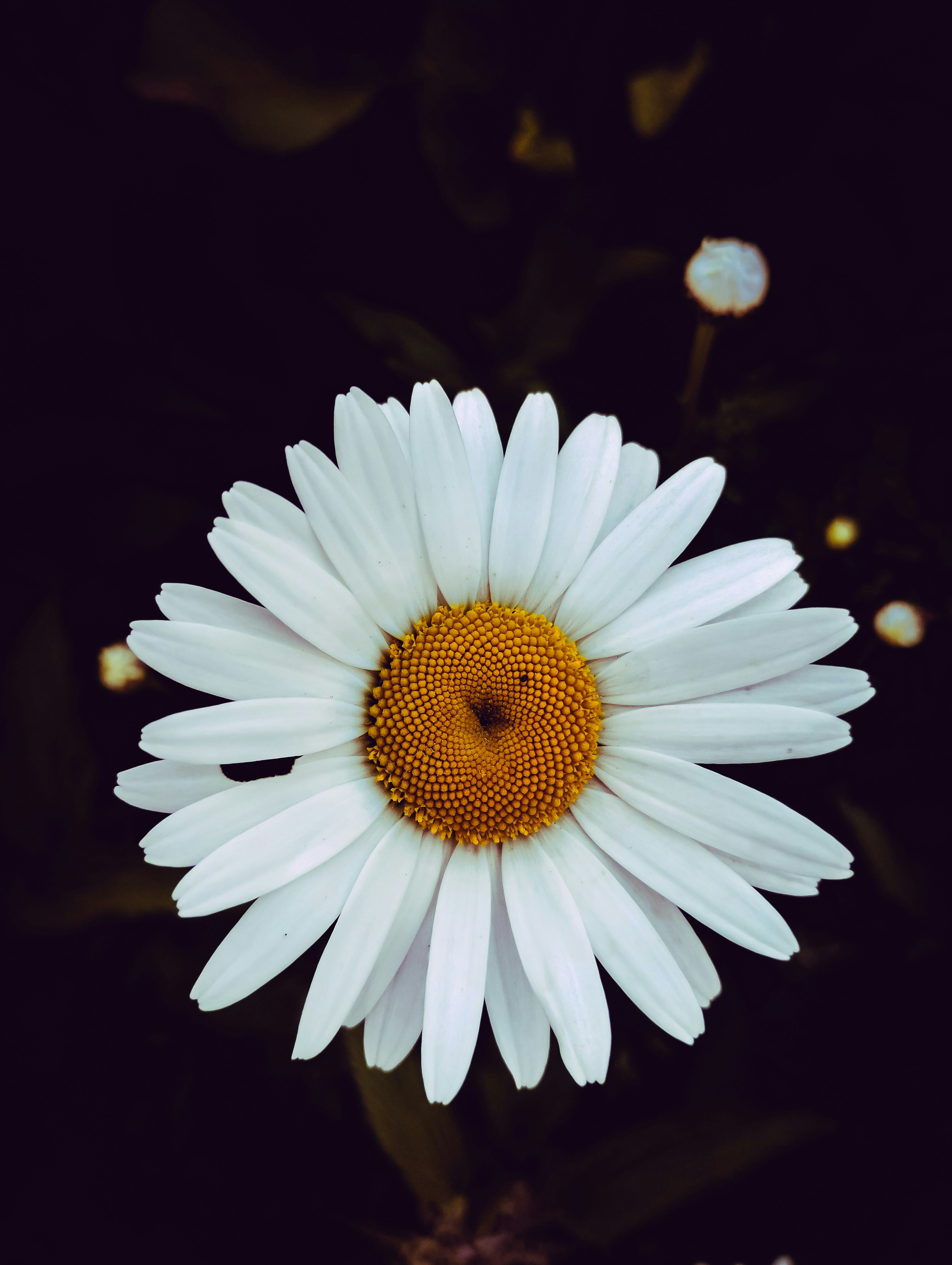 Photo by creative_af