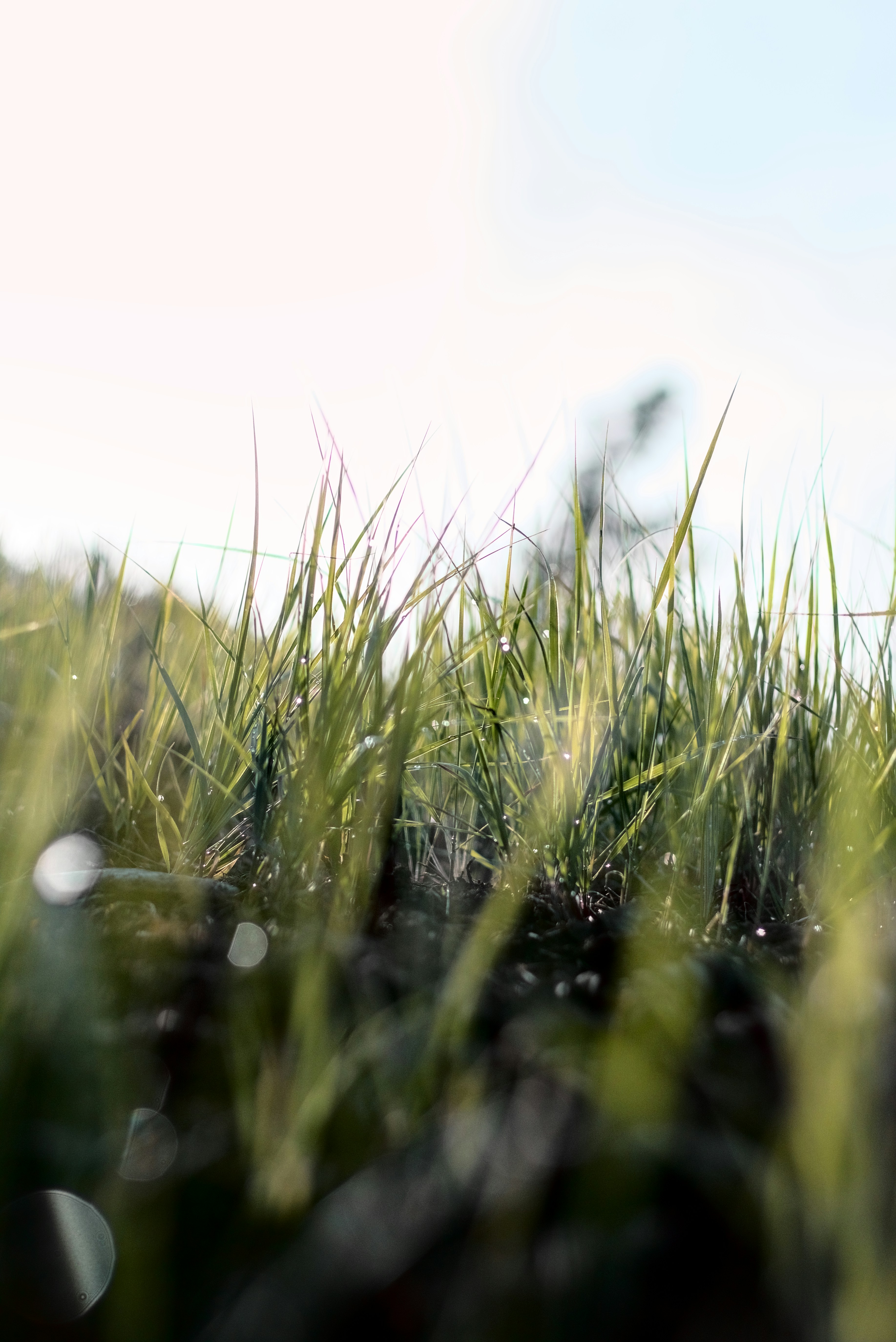 Photo by dcanadianphotographer