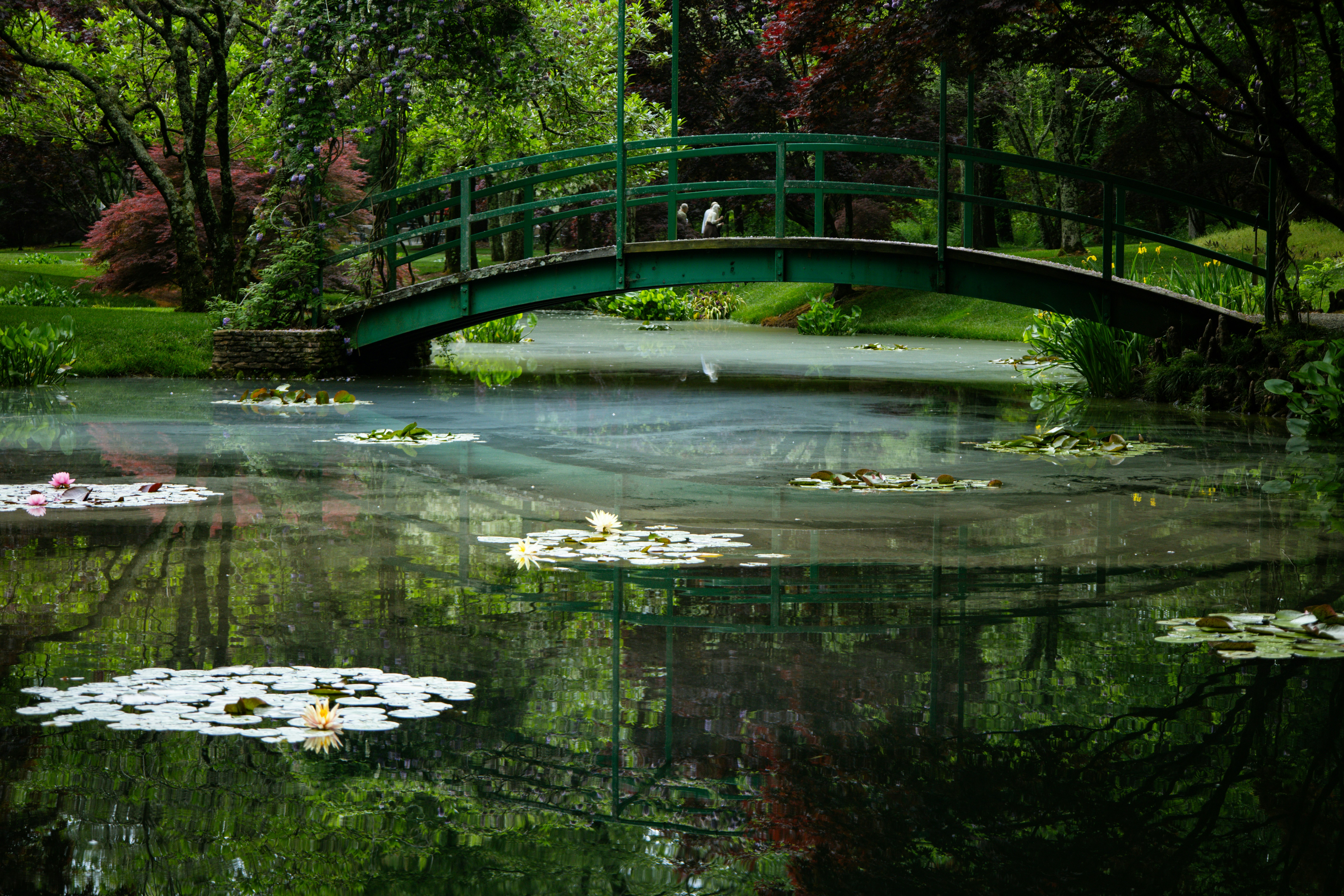 Photo by singforme1789