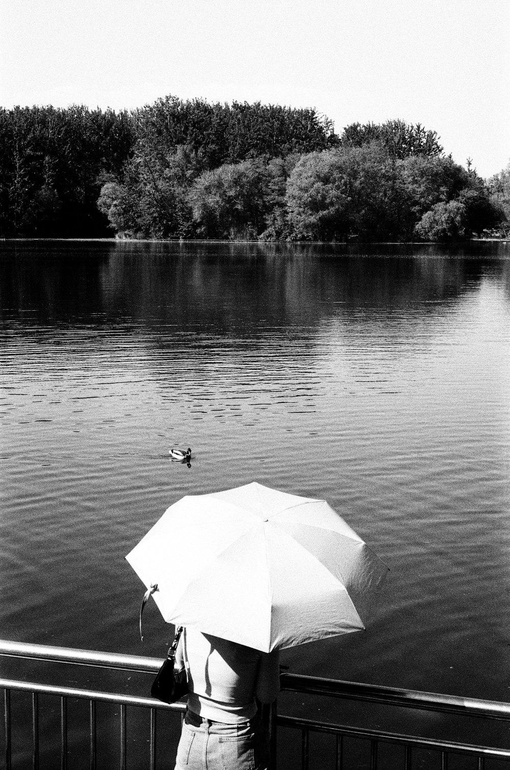 a woman with an umbrella looking out over a body of water