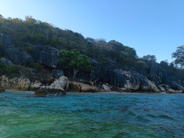 Best Time to Visit Bima: Weather Guide & Seasons