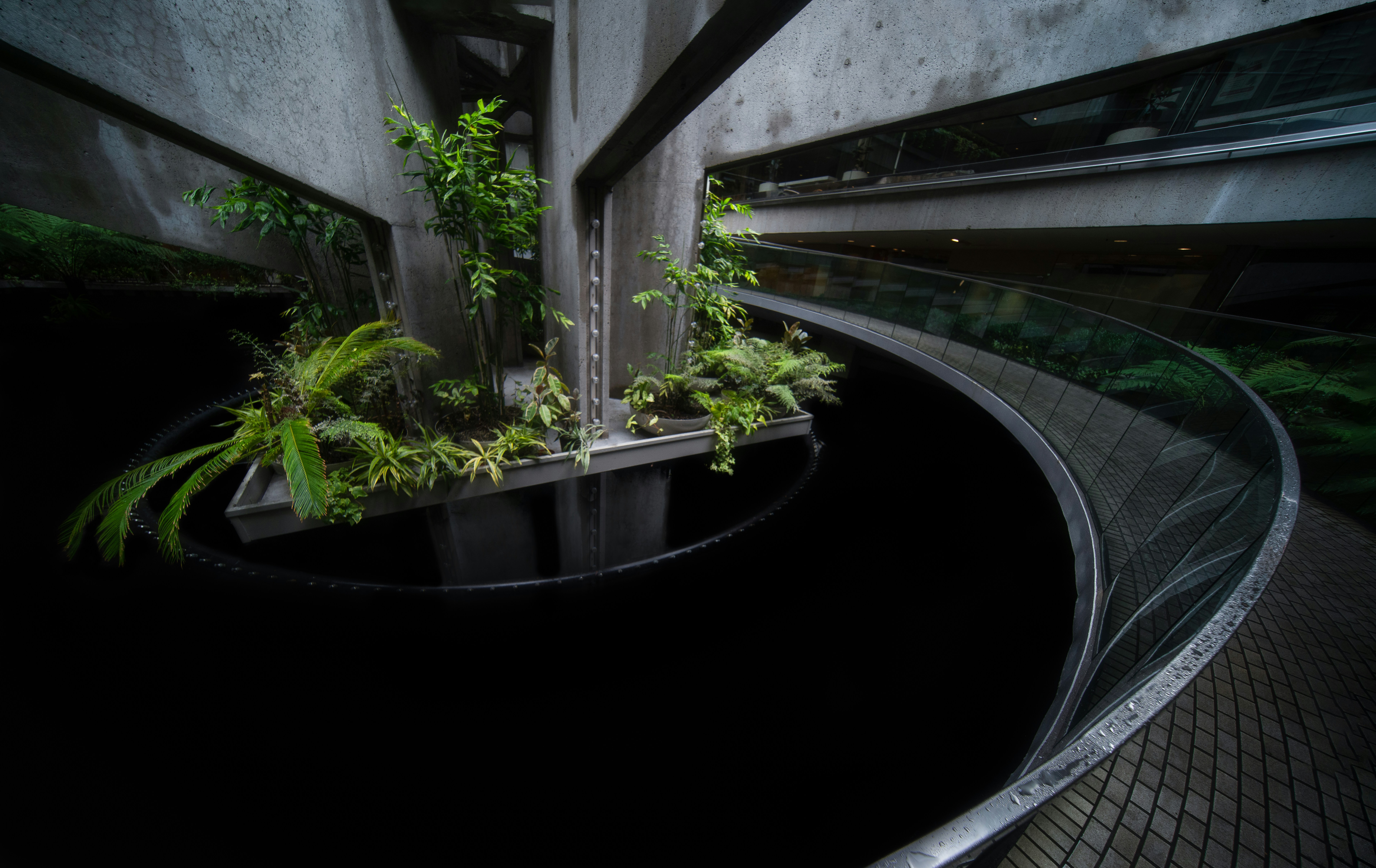 a plant is growing out of a round planter