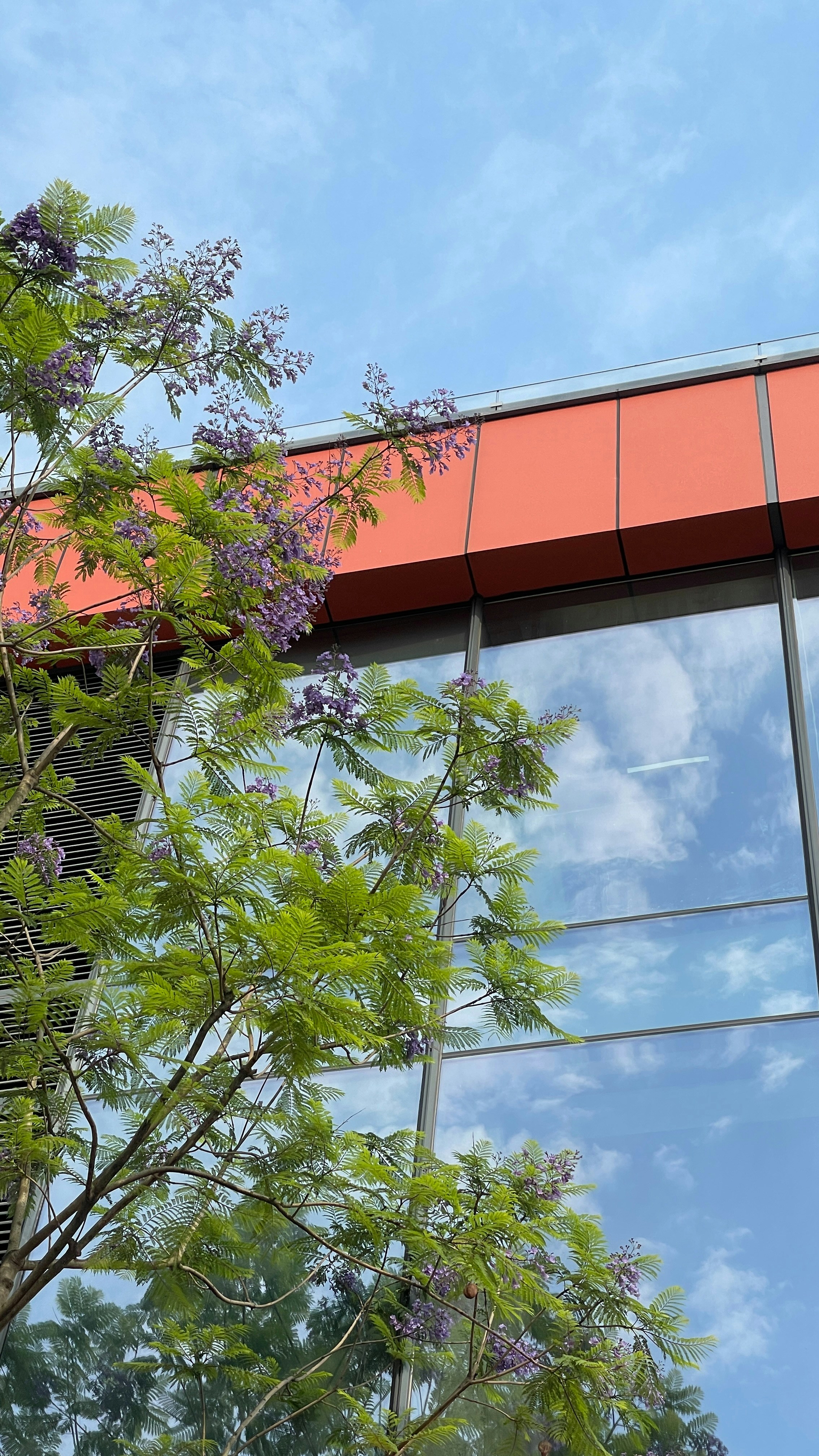 Photo by catherinevan