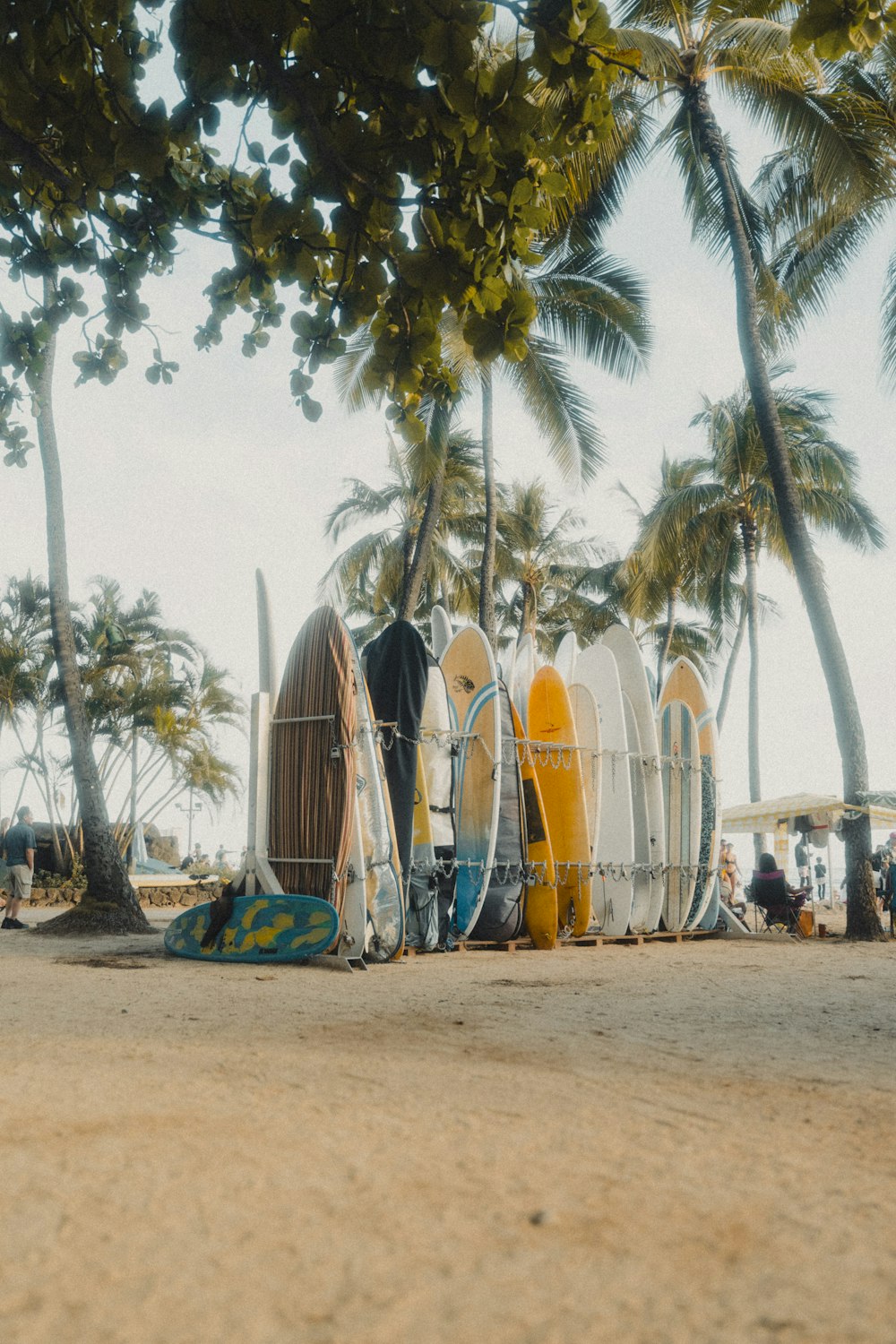 a bunch of surfboards that are sitting in the sand