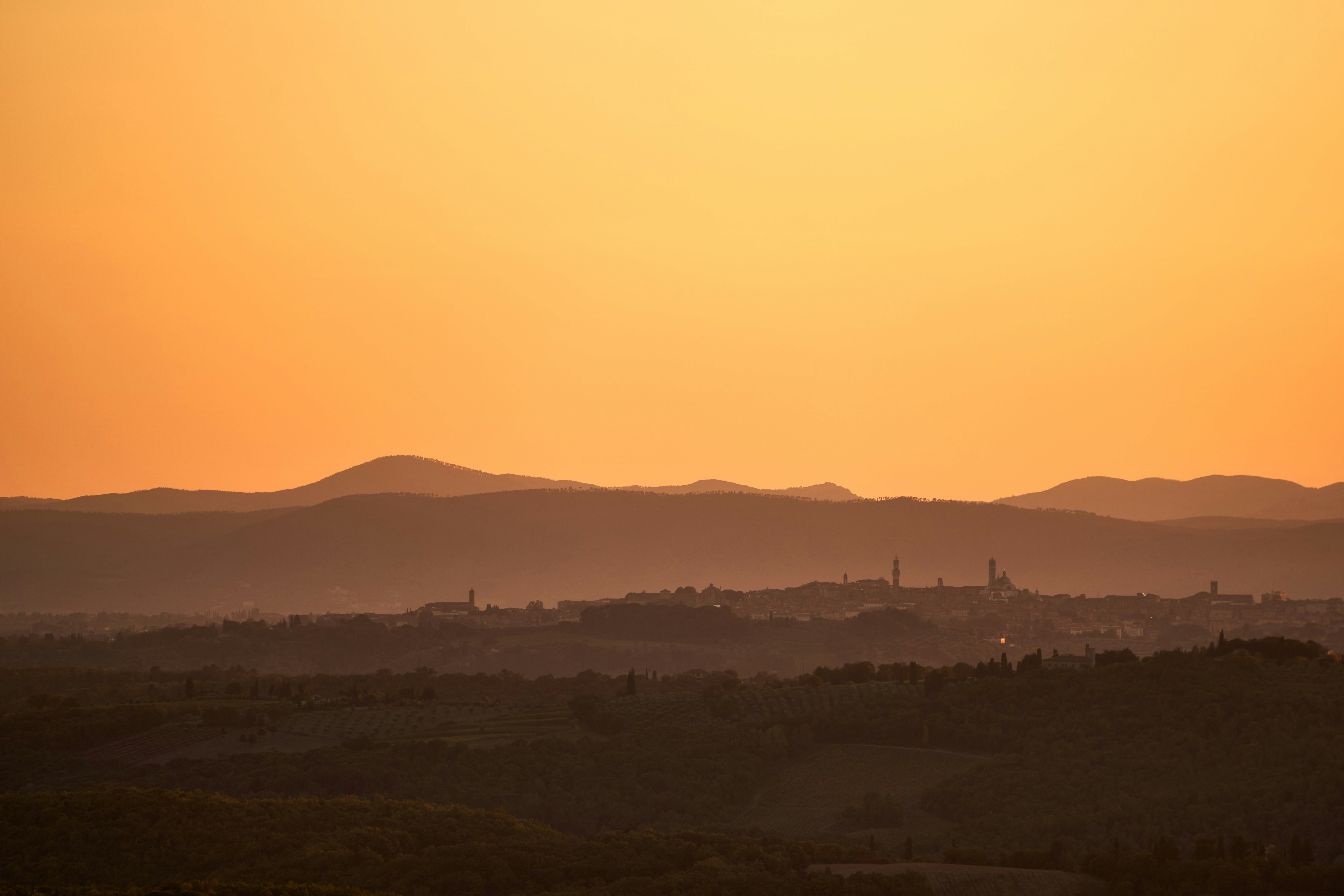 Photo by wolfgang_hasselmann