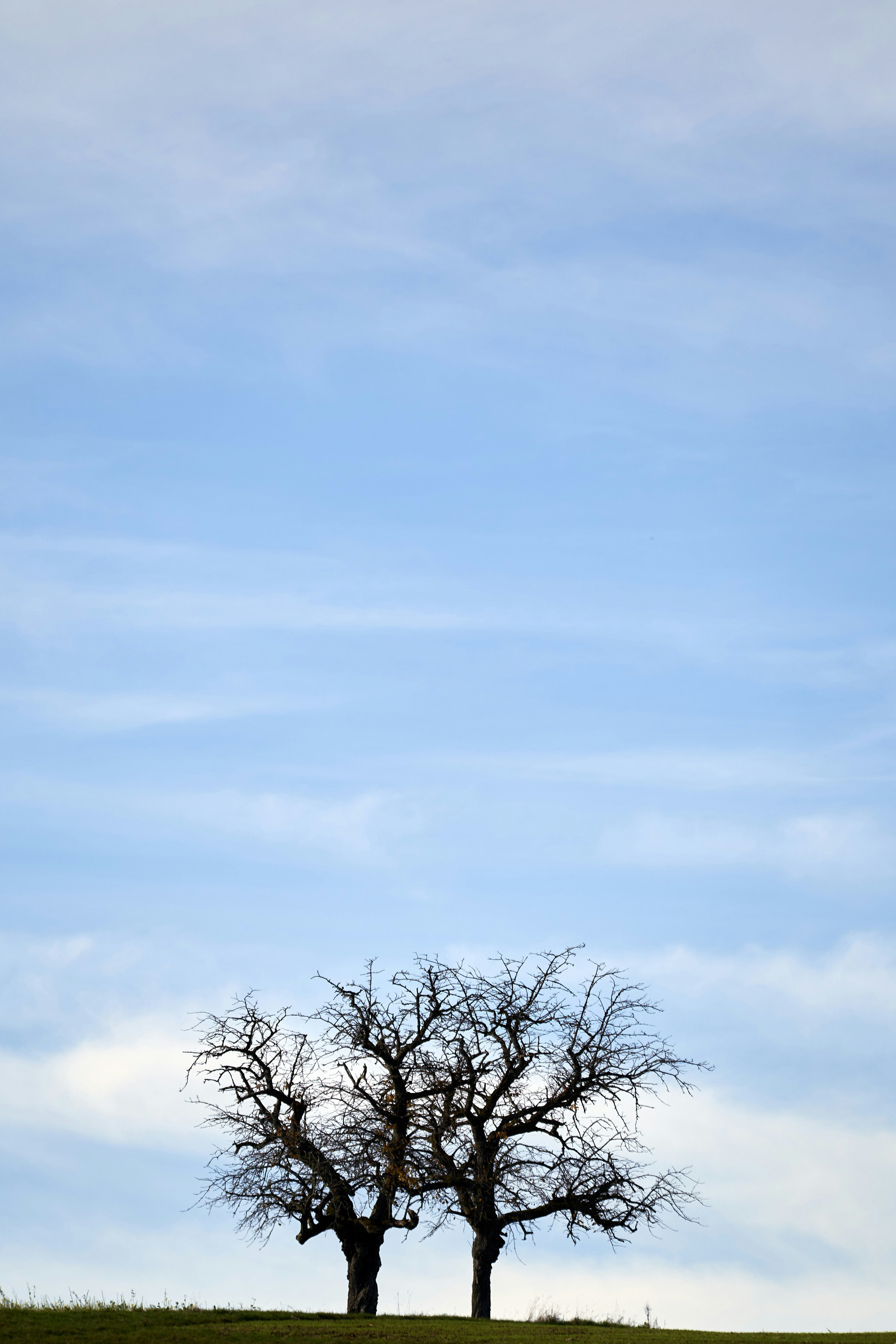 Photo by wolfgang_hasselmann