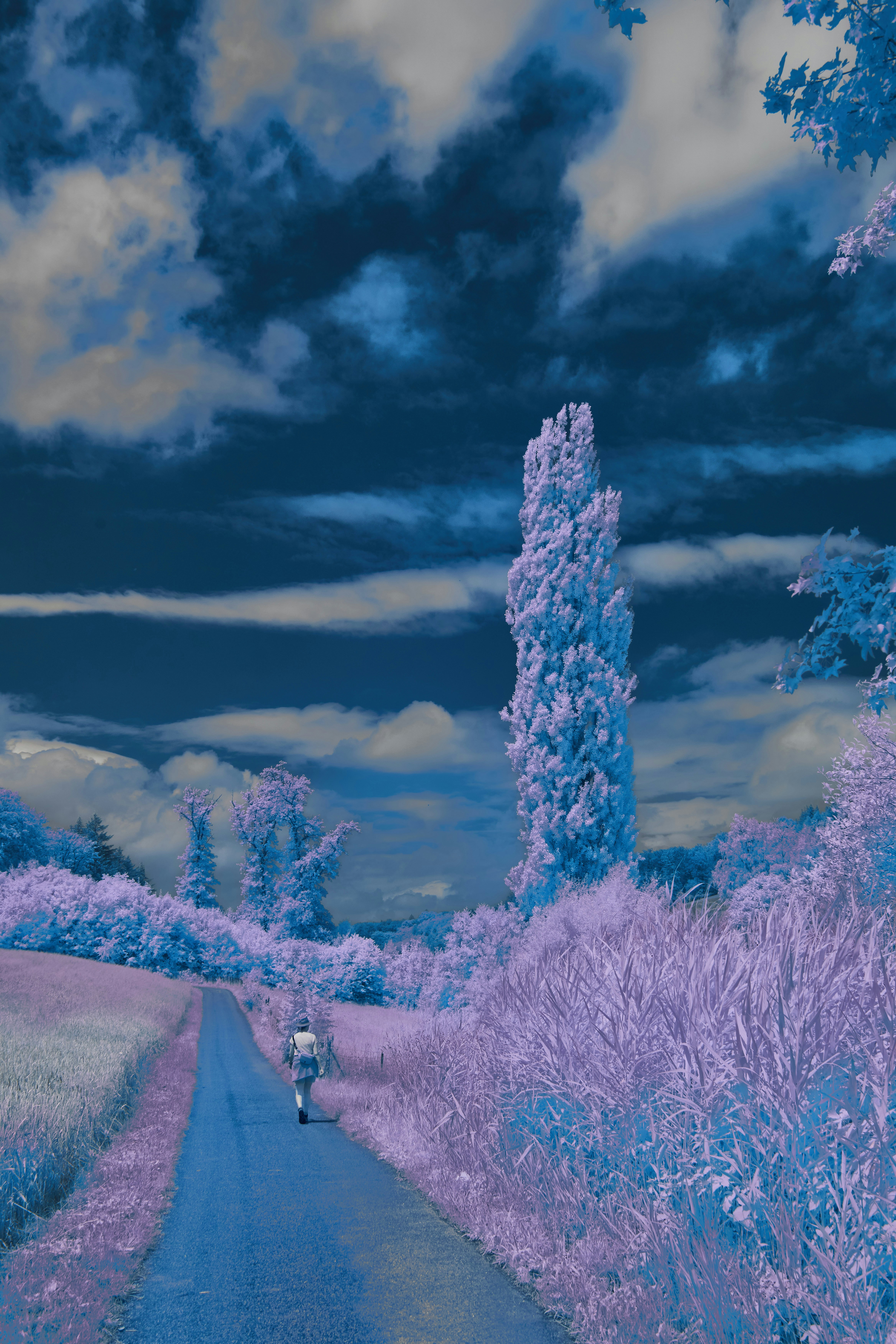 Anime landscape abstract background, ilustrasi artikel Craft & Conquer Episode 1: A Beginner's Guide to Your Anime Journey 7