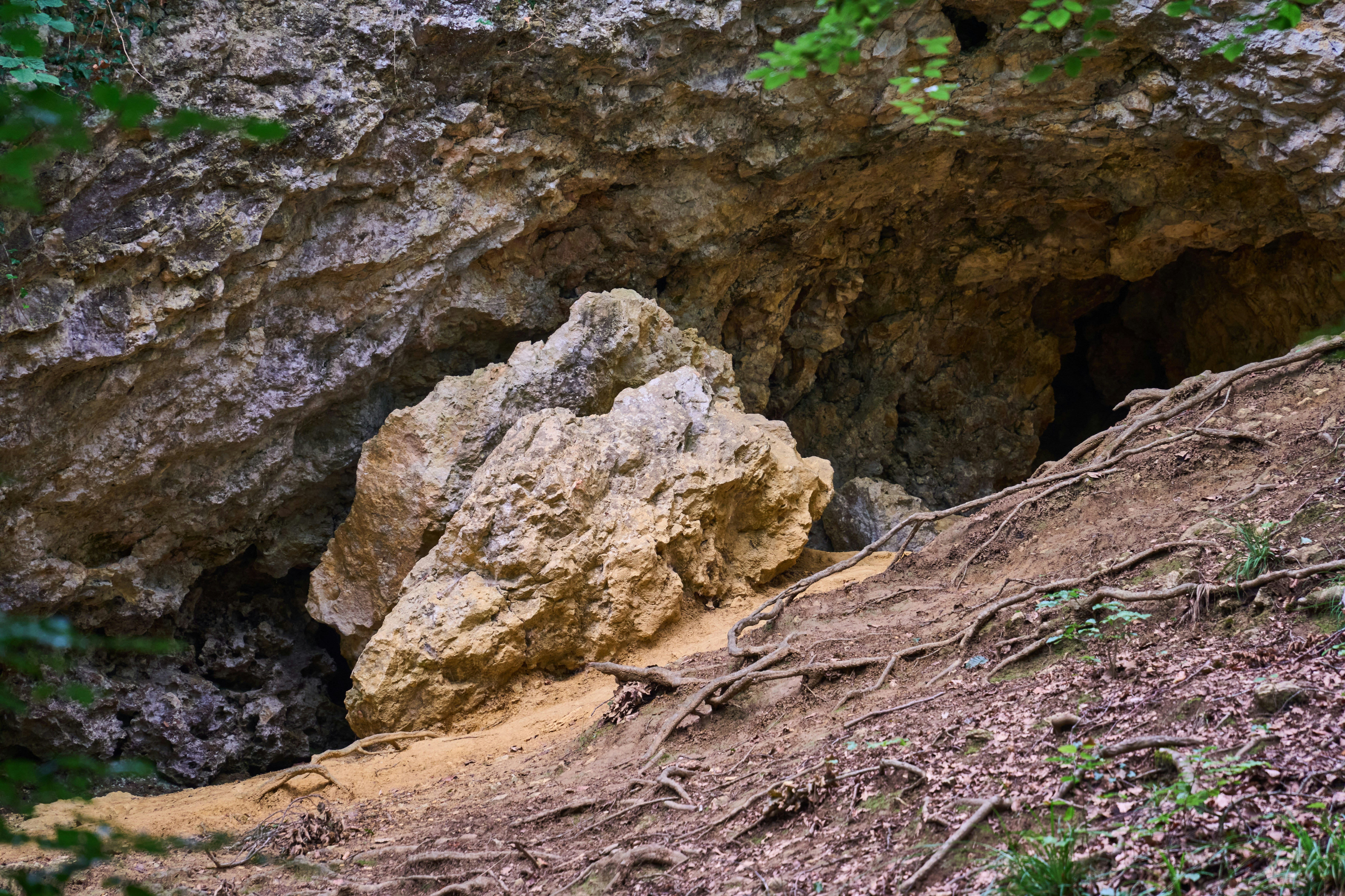 Photo by wolfgang_hasselmann