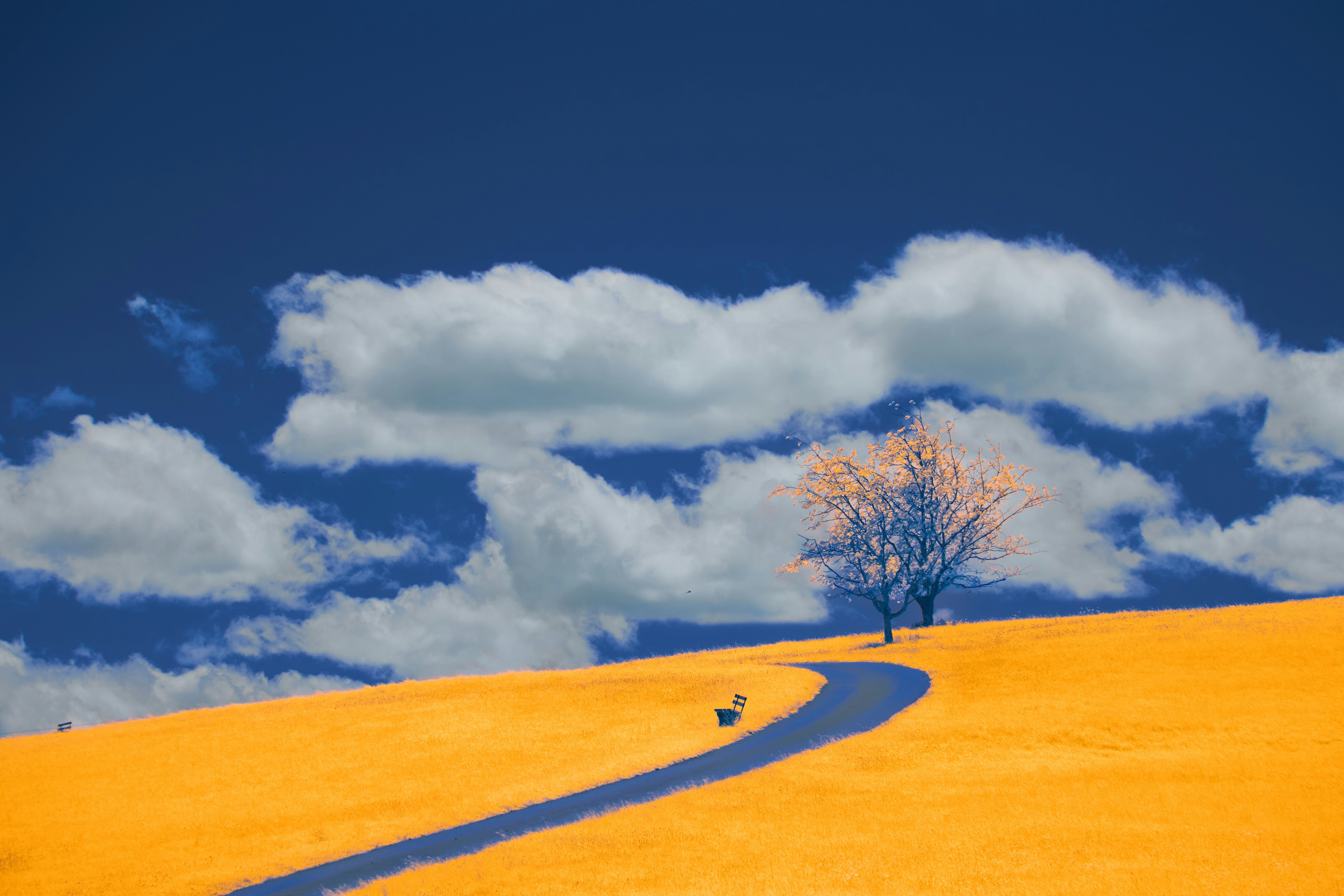 Photo by wolfgang_hasselmann