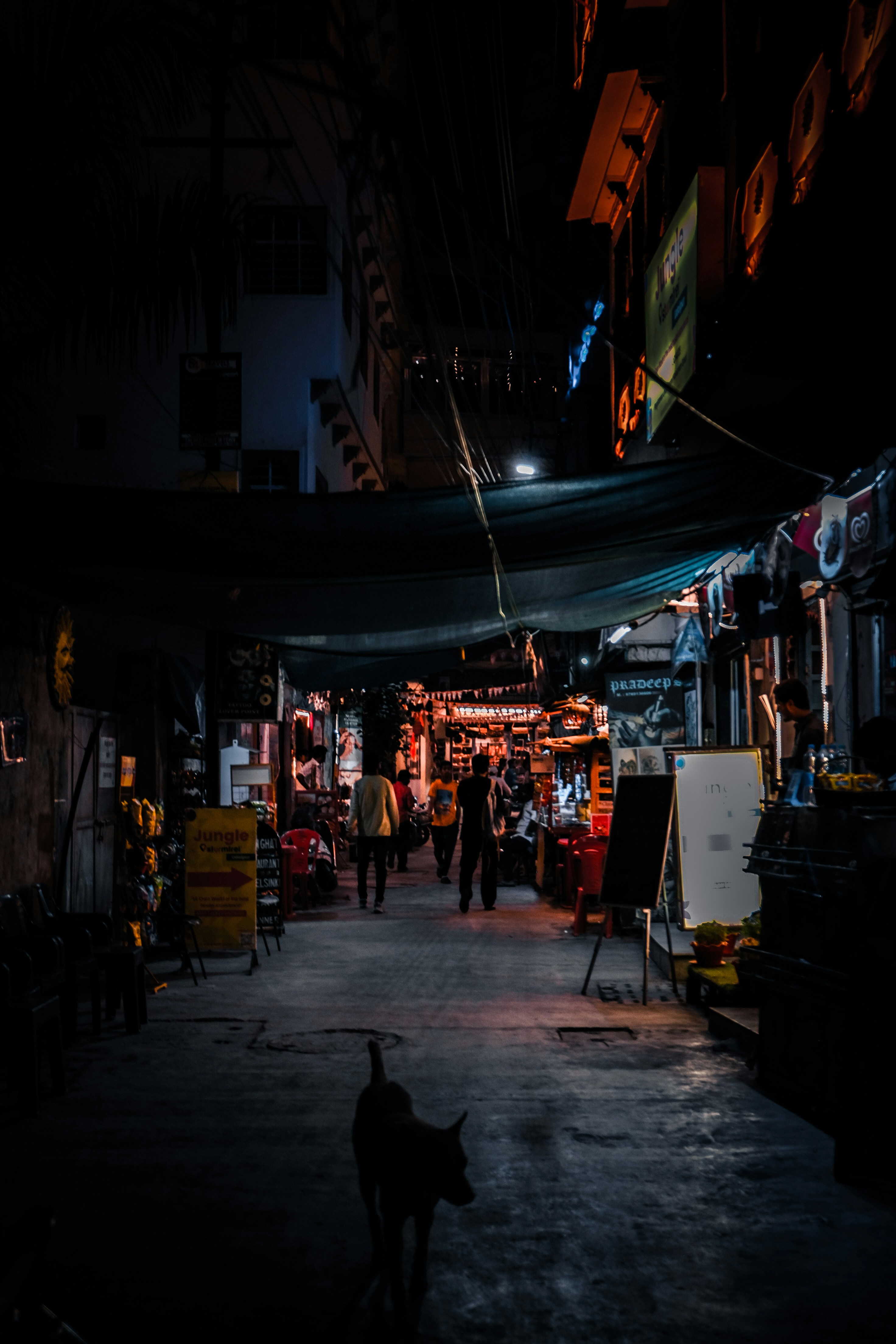 Photo by kartikeya_sa