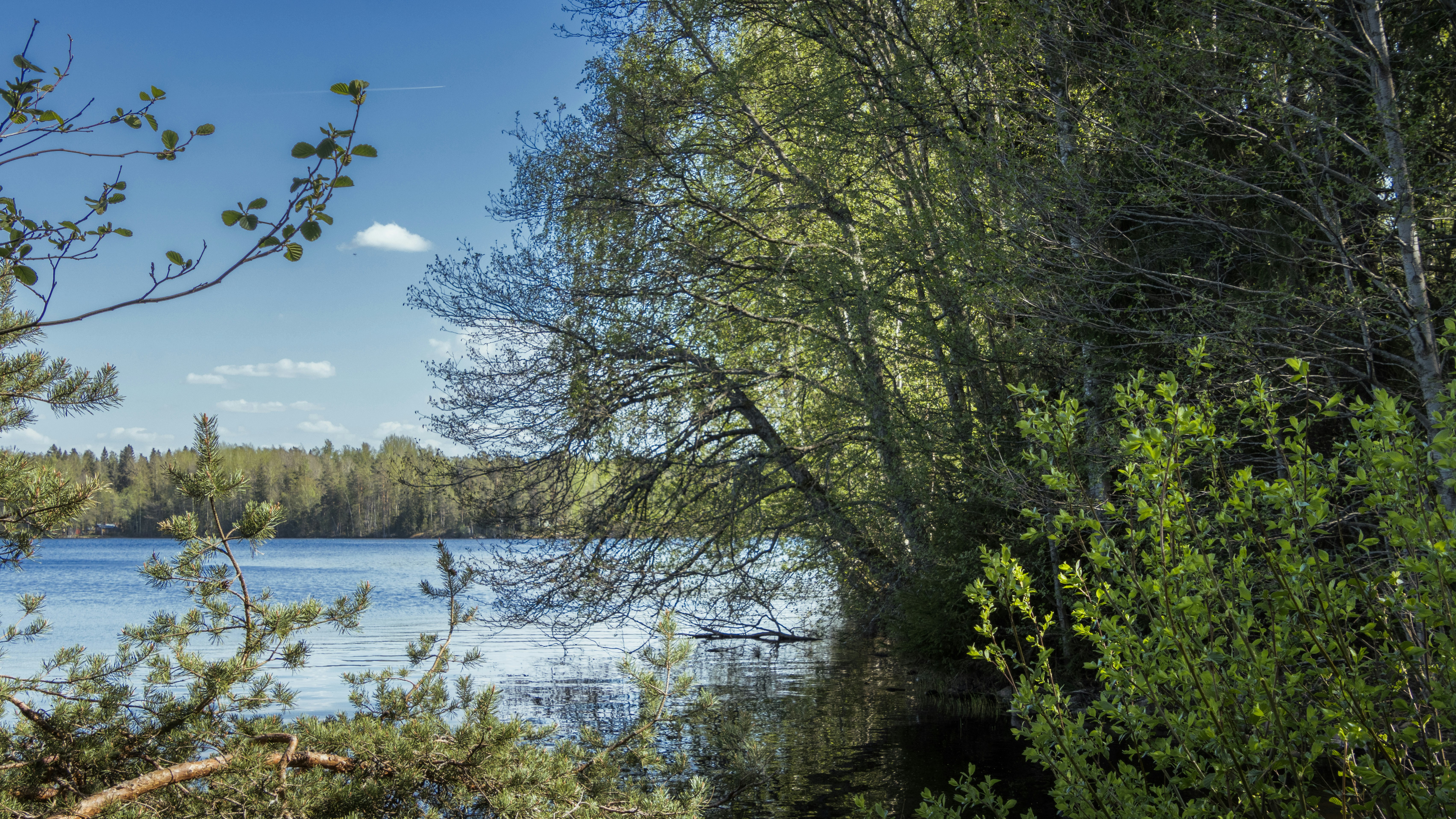 Photo by juho_aleksi_luomala