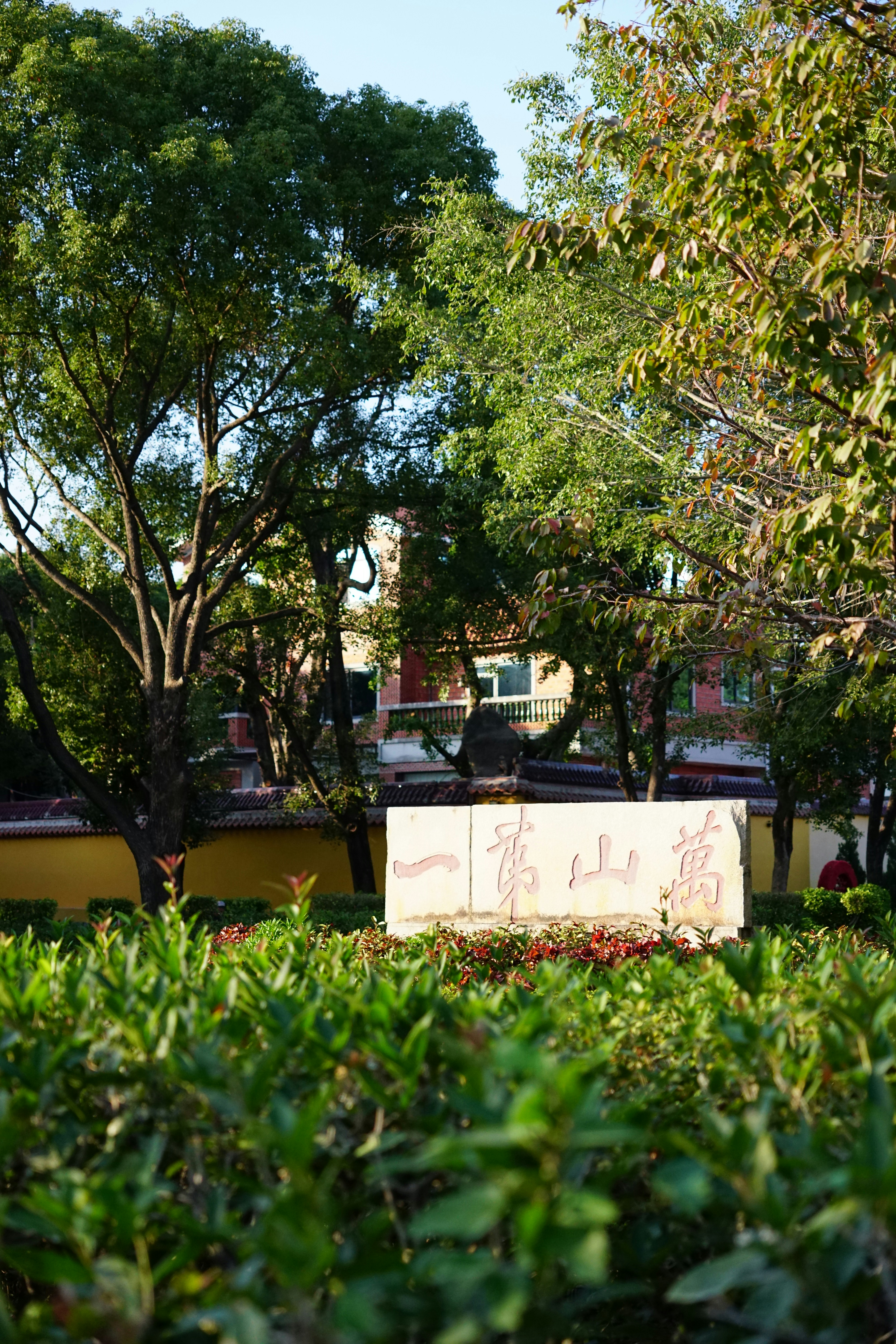 there is a sign in the middle of the bushes