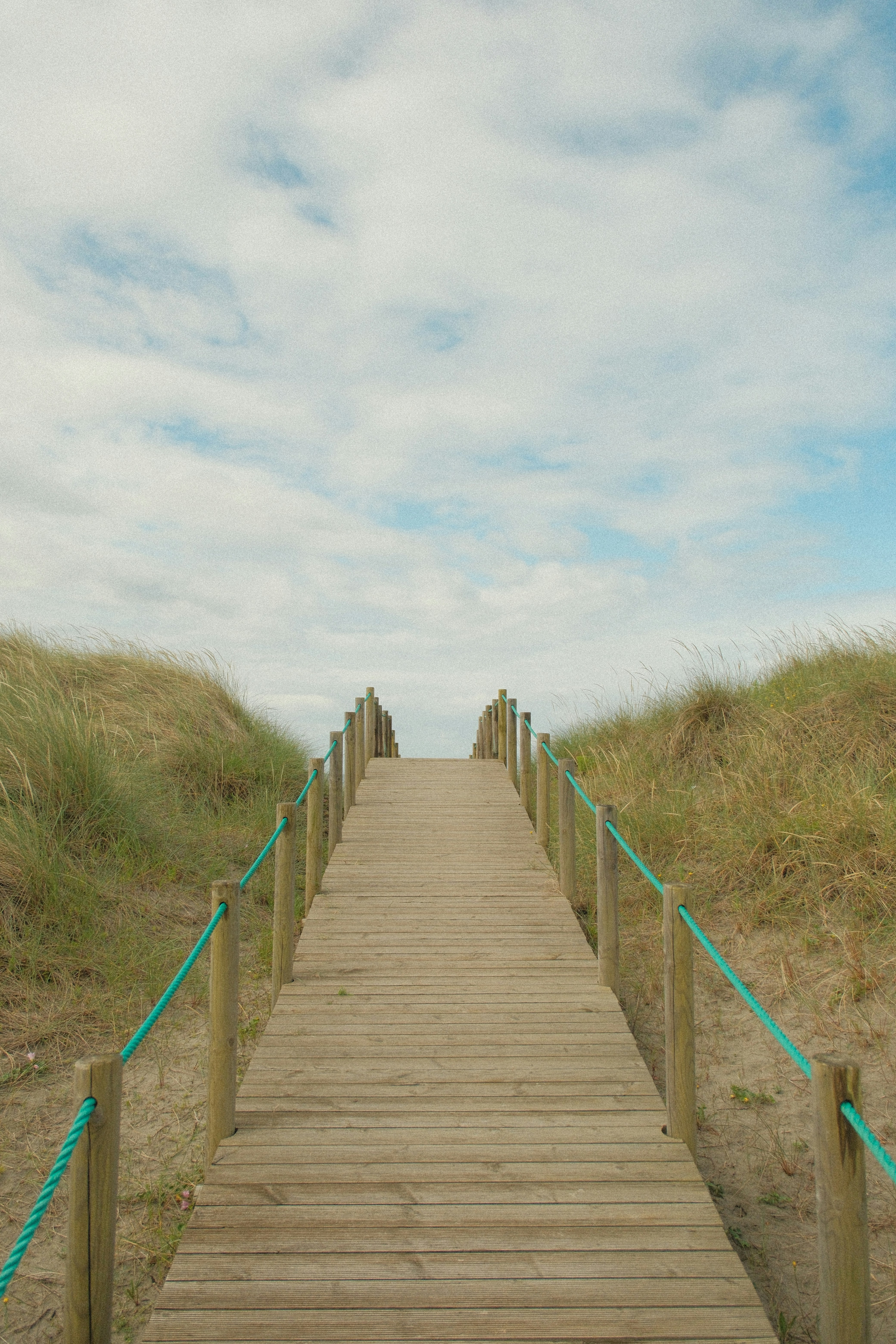 Photo by danieljschwarz