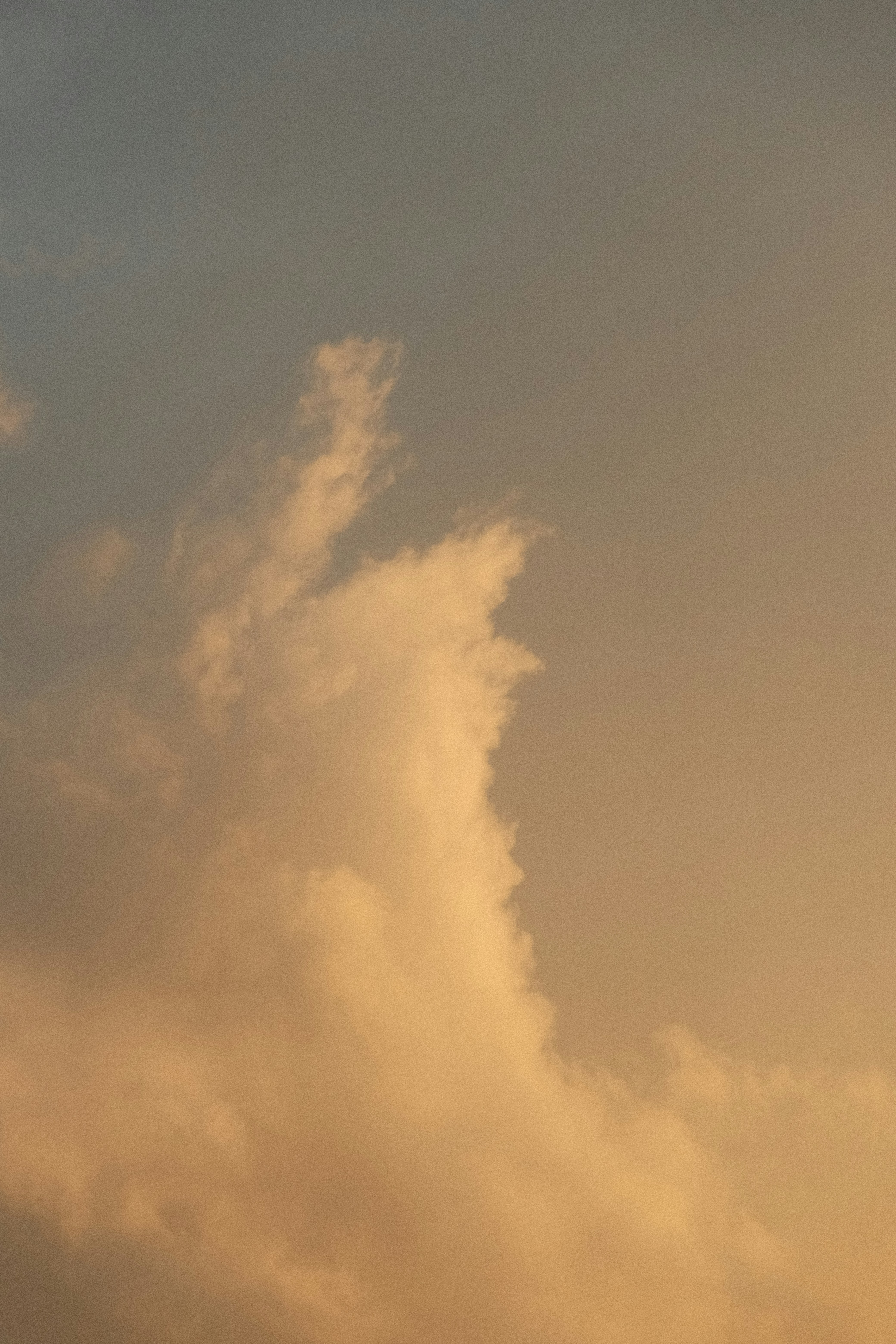 Photo by danieljschwarz