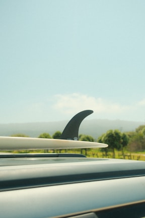 a surfboard sticking out of the roof of a car