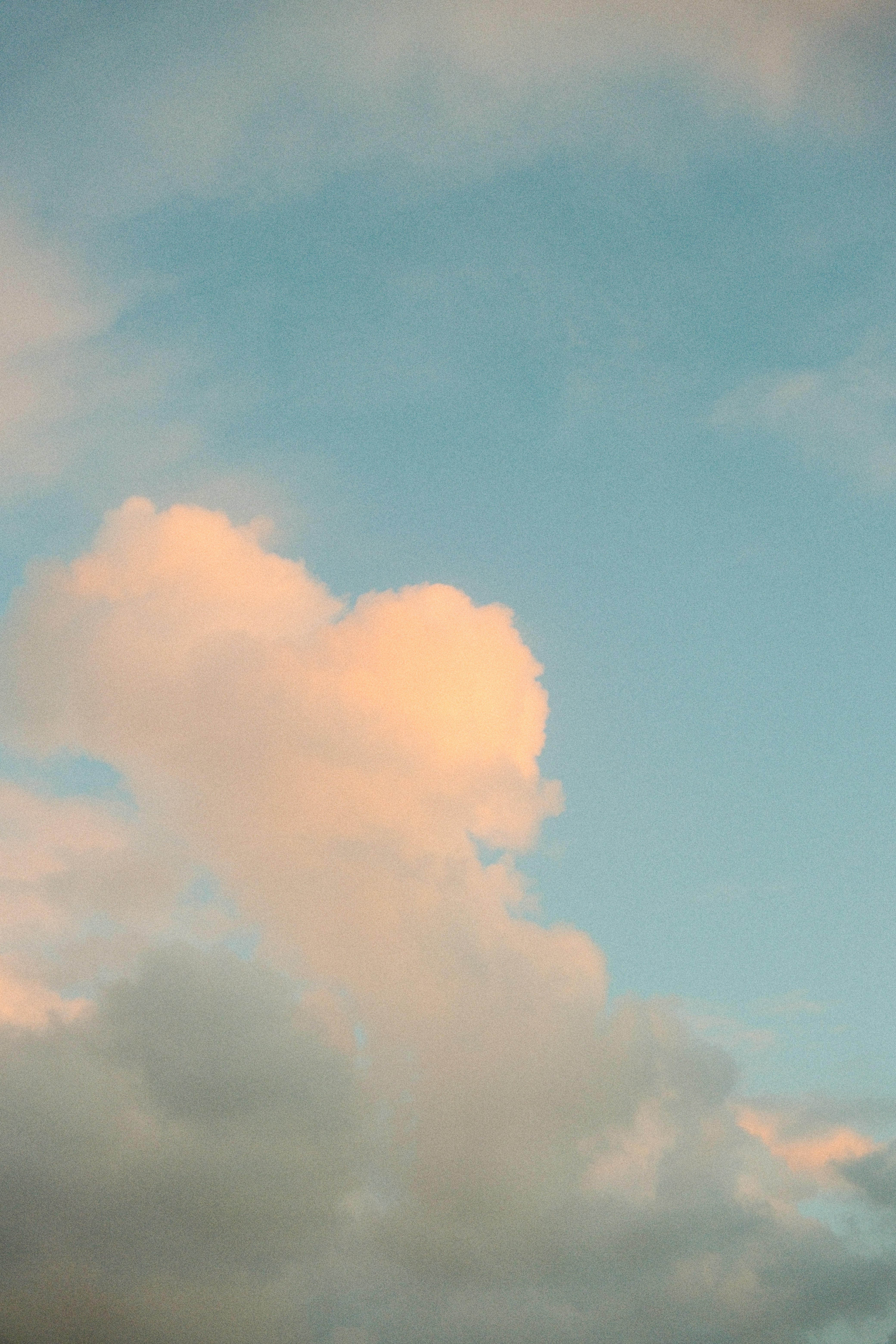 Photo by danieljschwarz