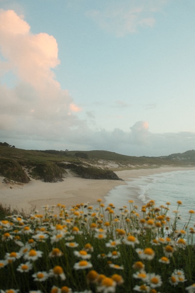 piso en venta - Nuda propiedad en A Coruña, A Coruña - 89 m², 3 hab., 1 baño - Descuento 41%