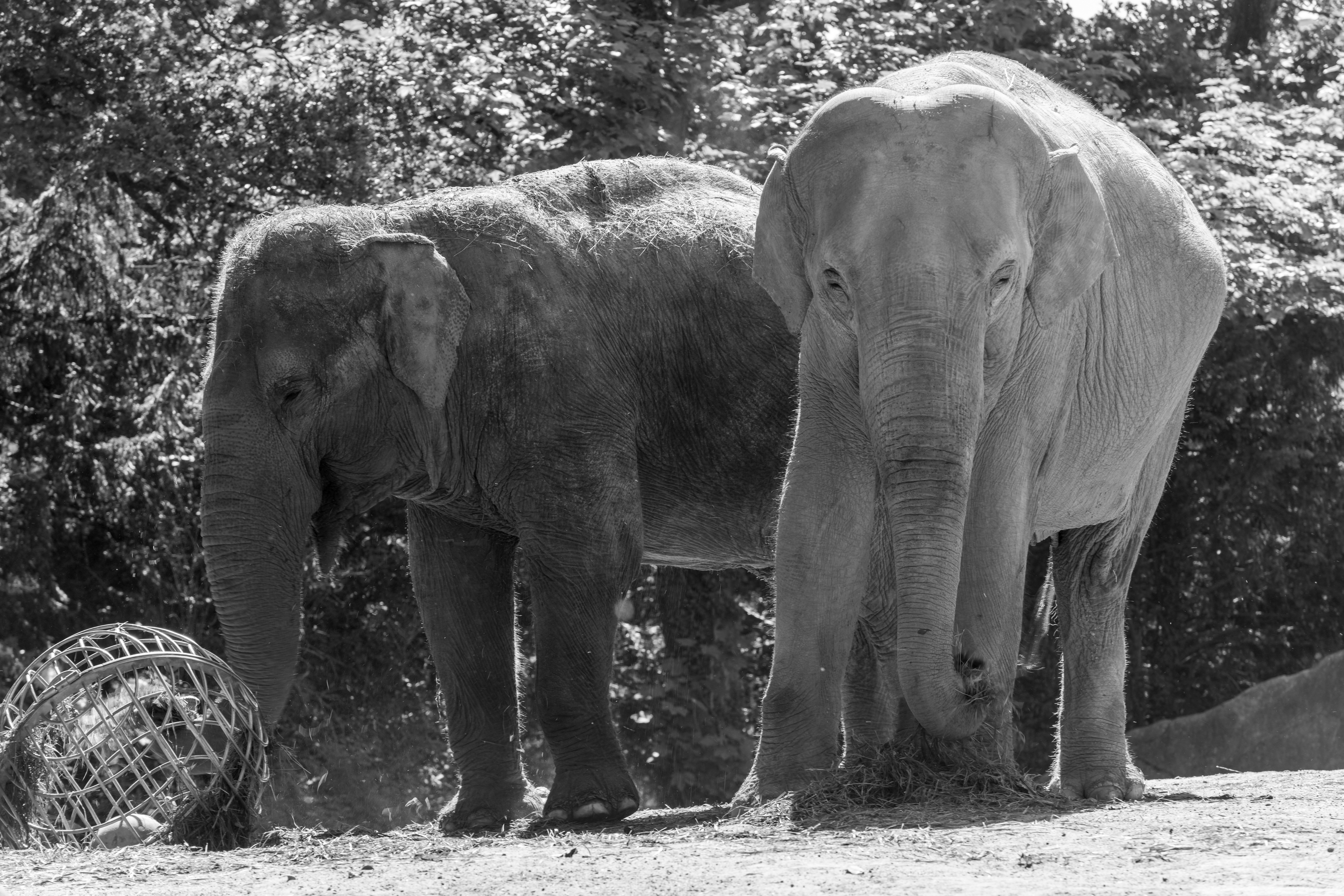 Photo by hamburgmeinefreundin