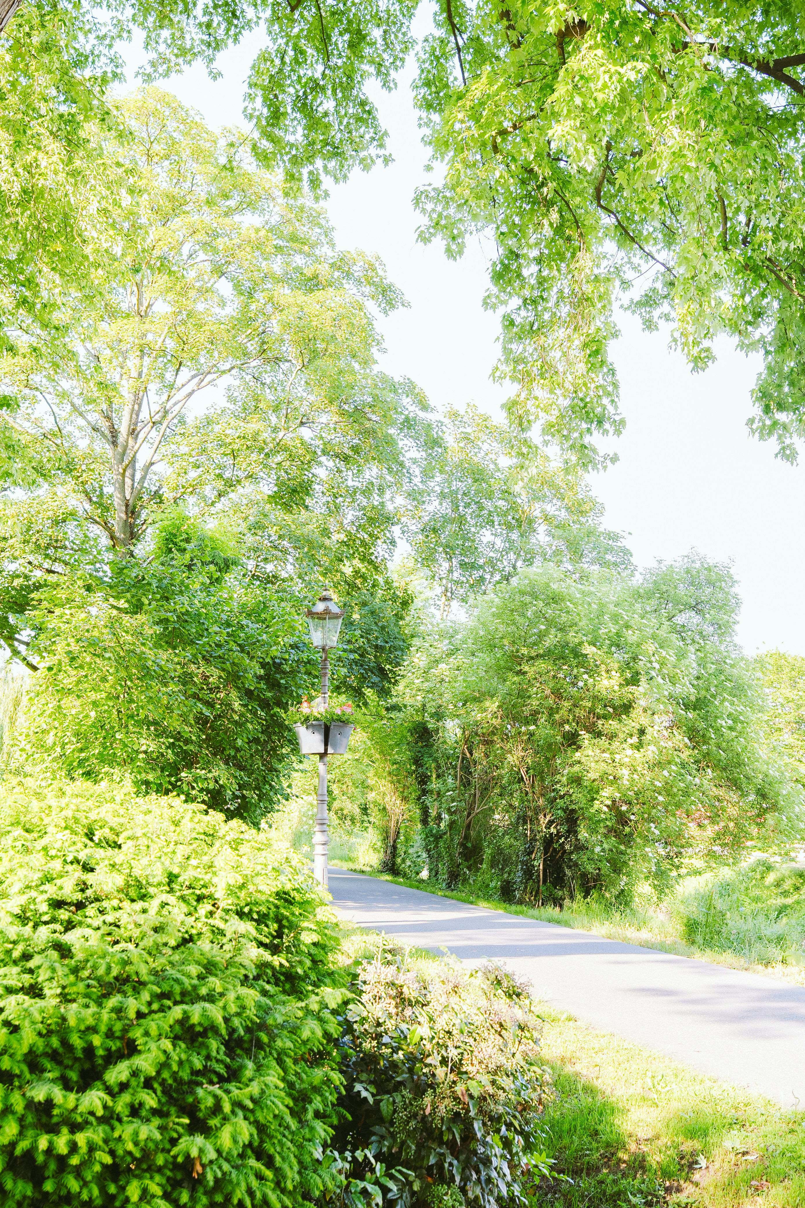 Photo by masoodaslami