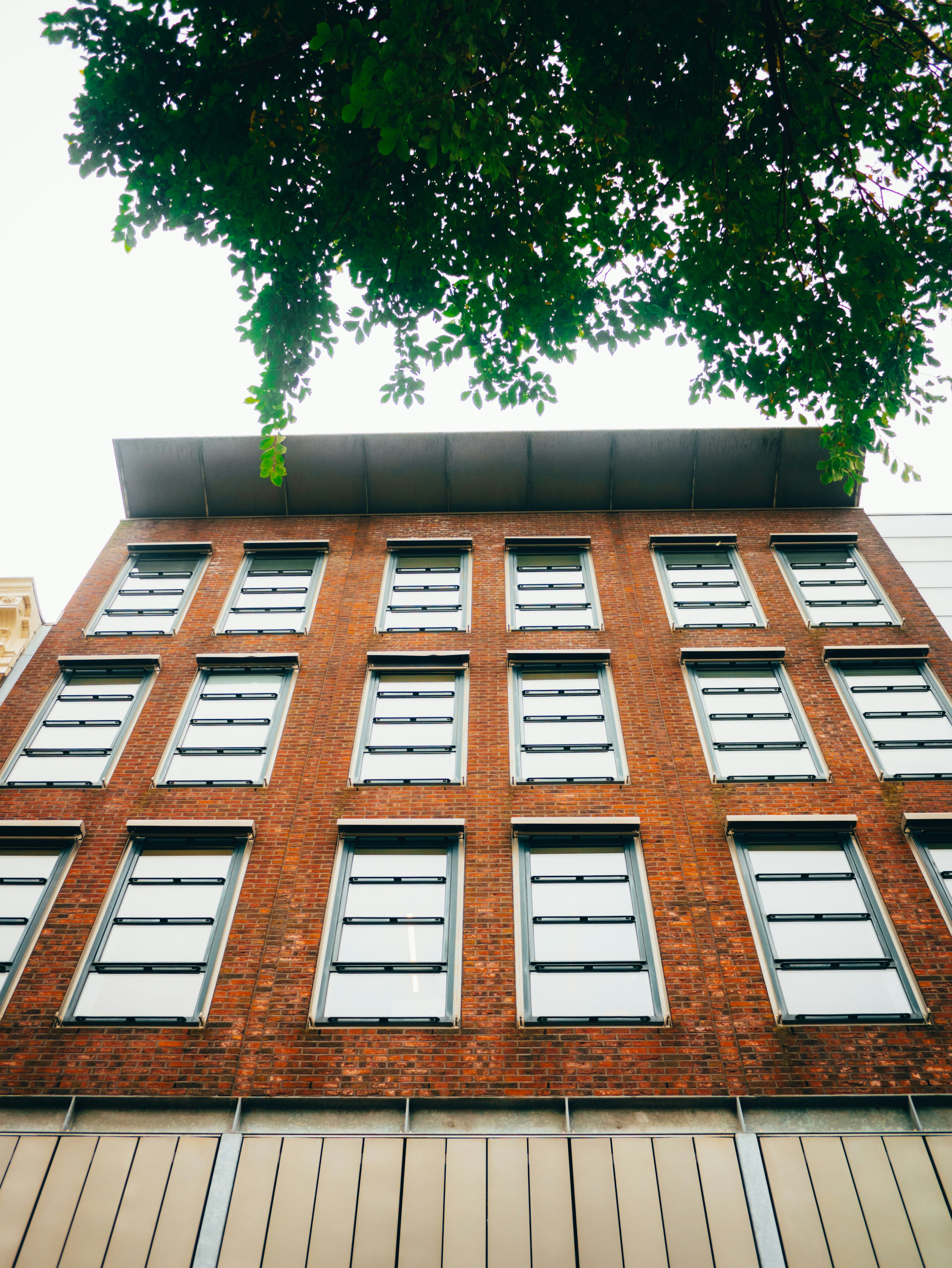 Photo by kingkonggeorge