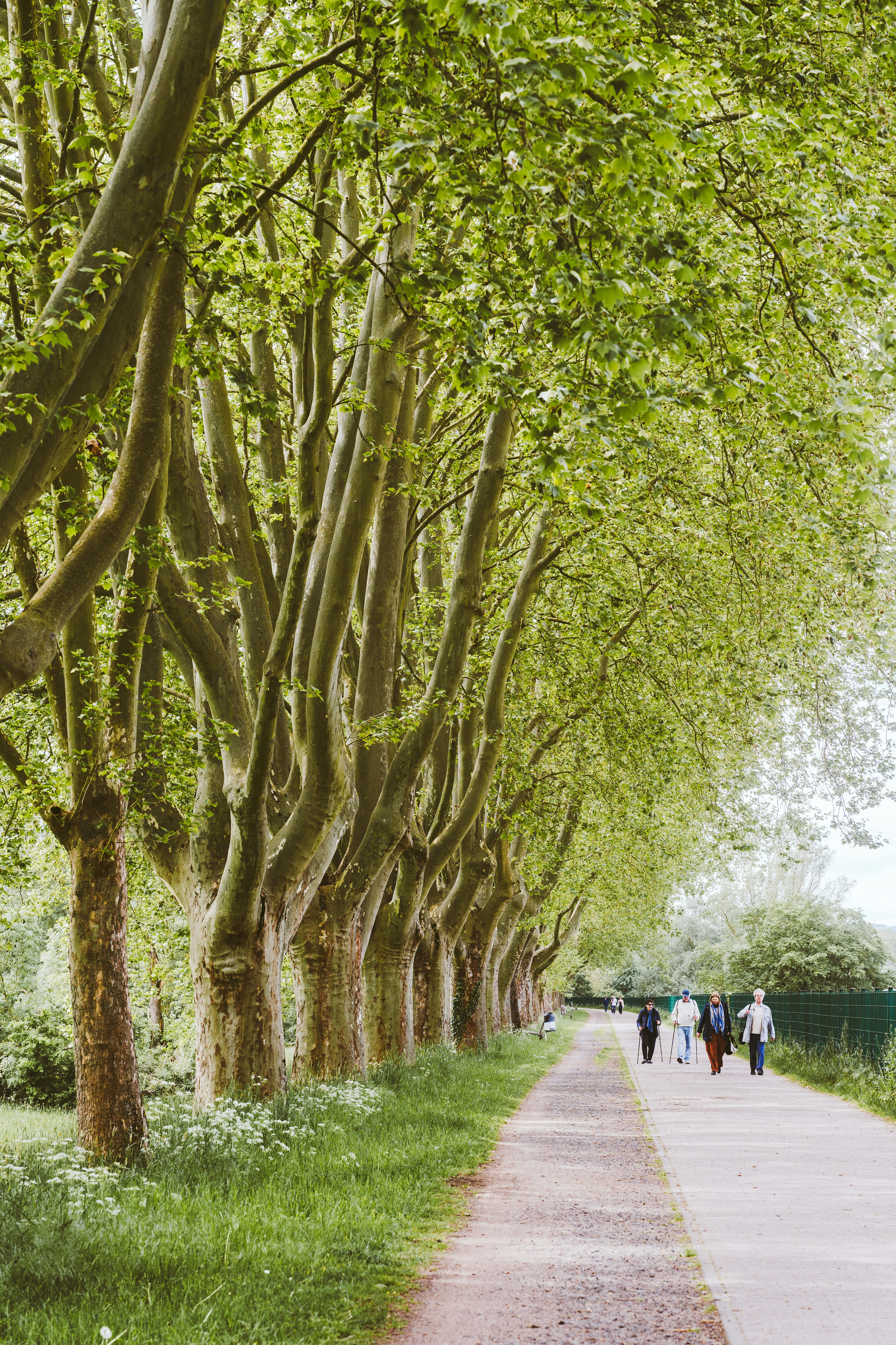 Photo by masoodaslami