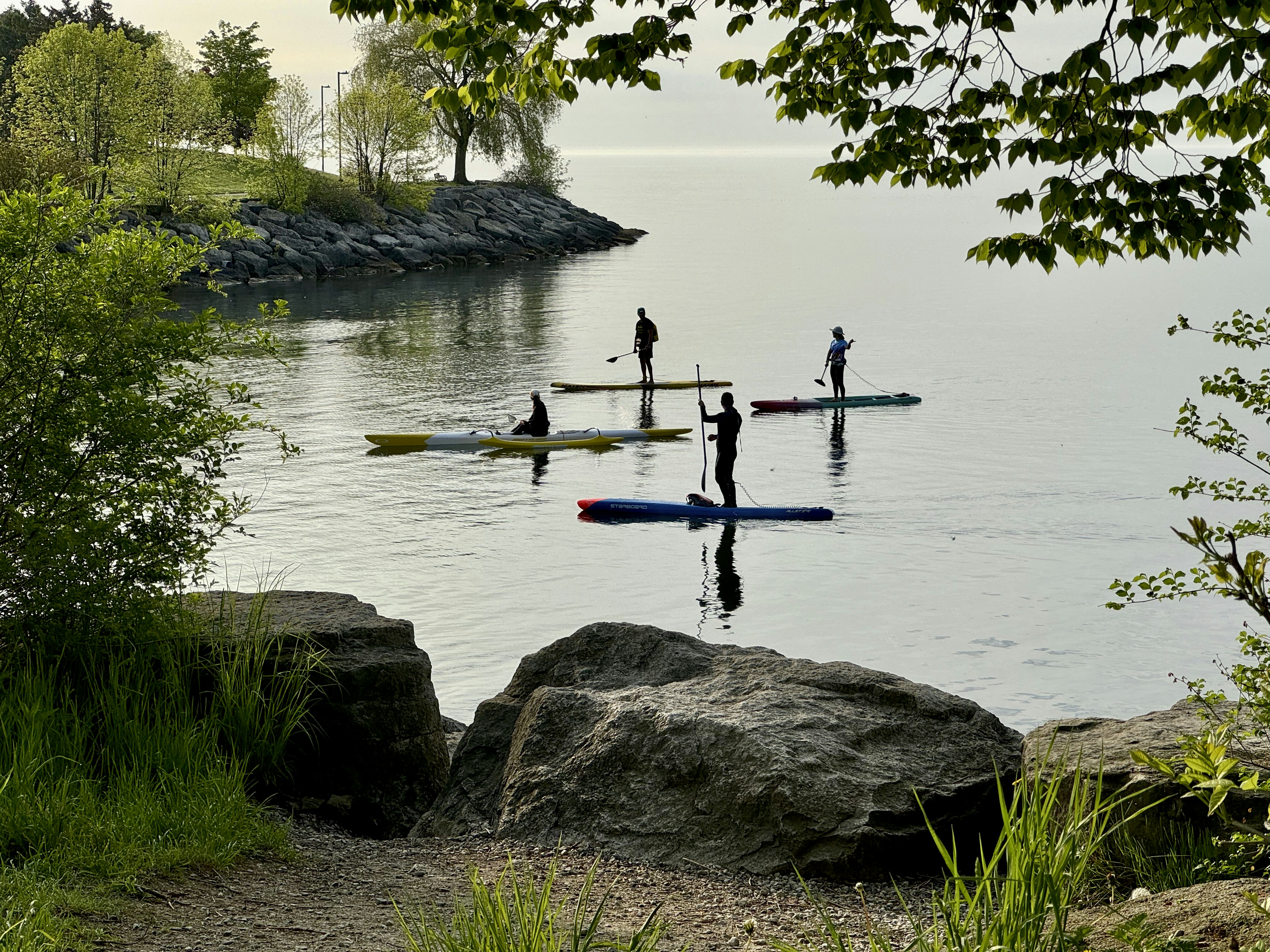 a group of people riding paddle boards on top of a lake