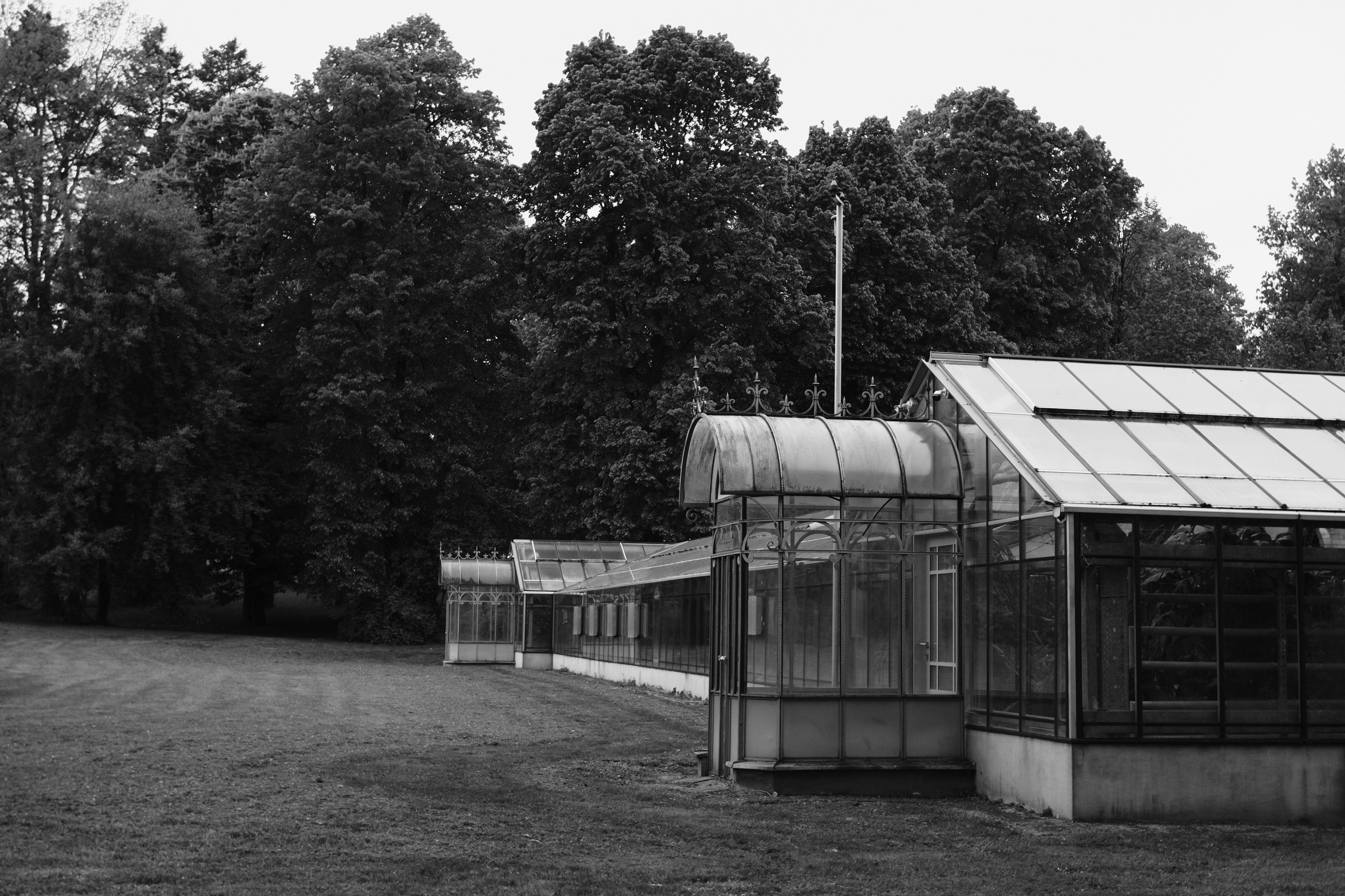 Photo by dawid_kochman