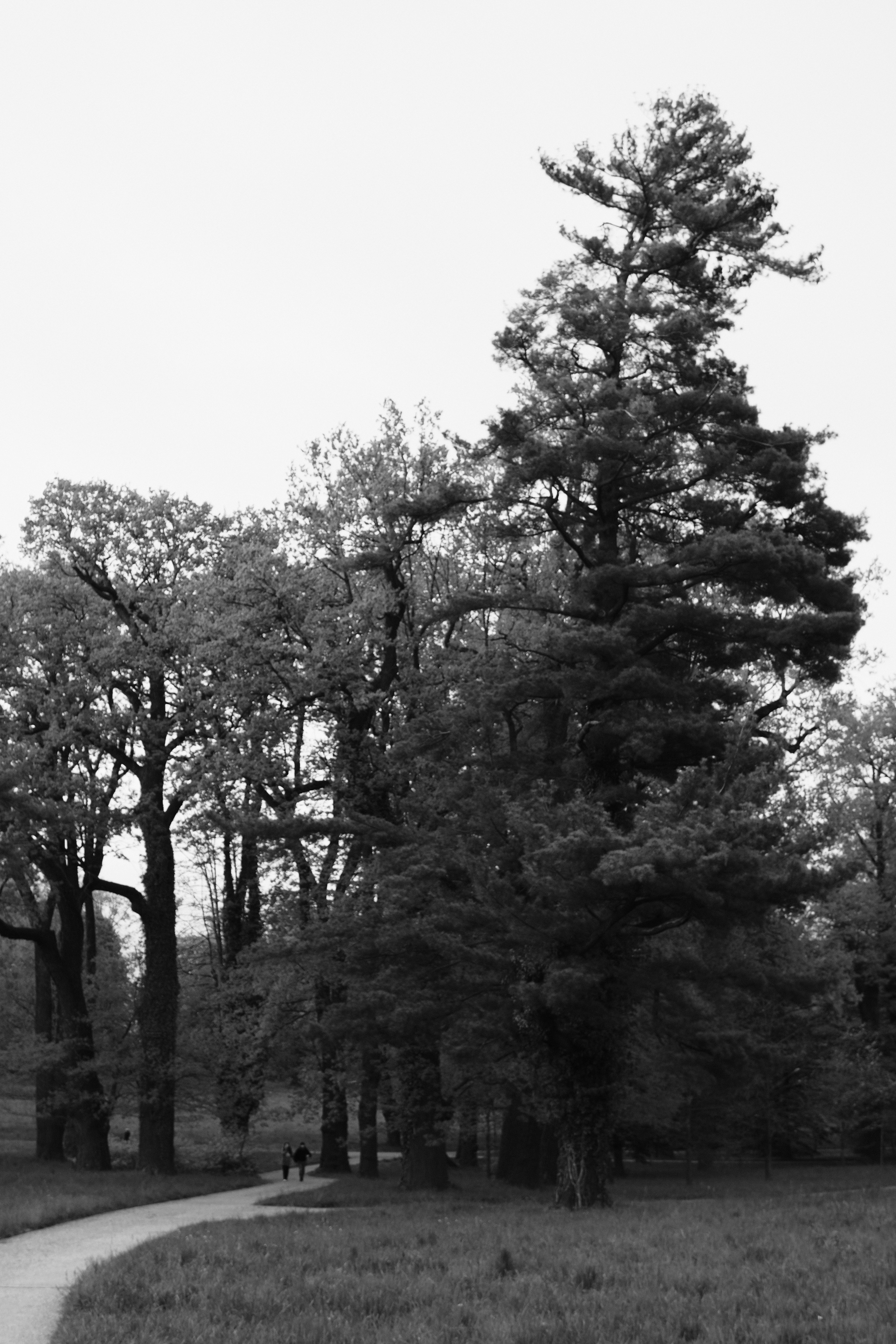 Photo by dawid_kochman