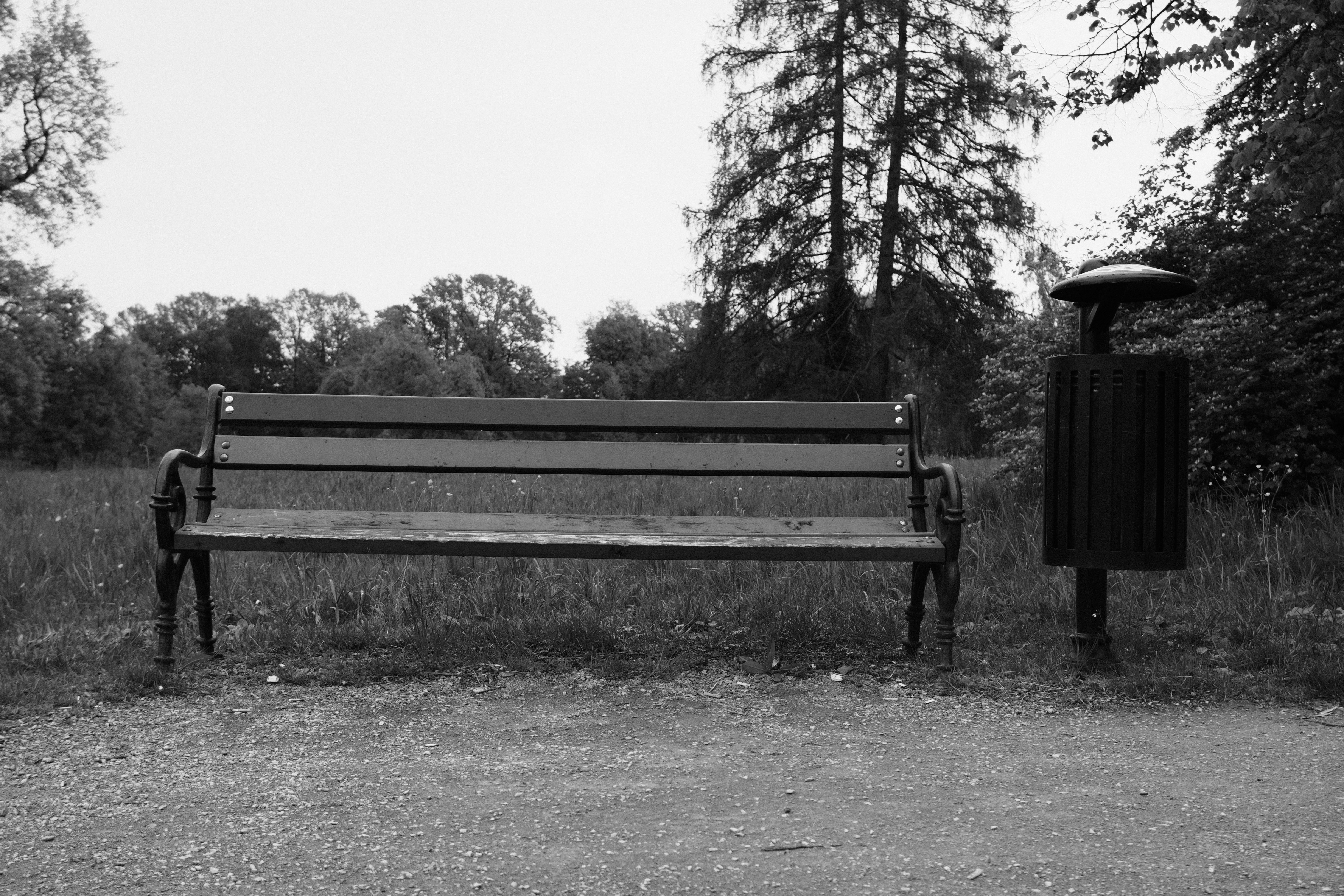 Makima Quotes: Dark, Powerful Lines to Keep You Hooked