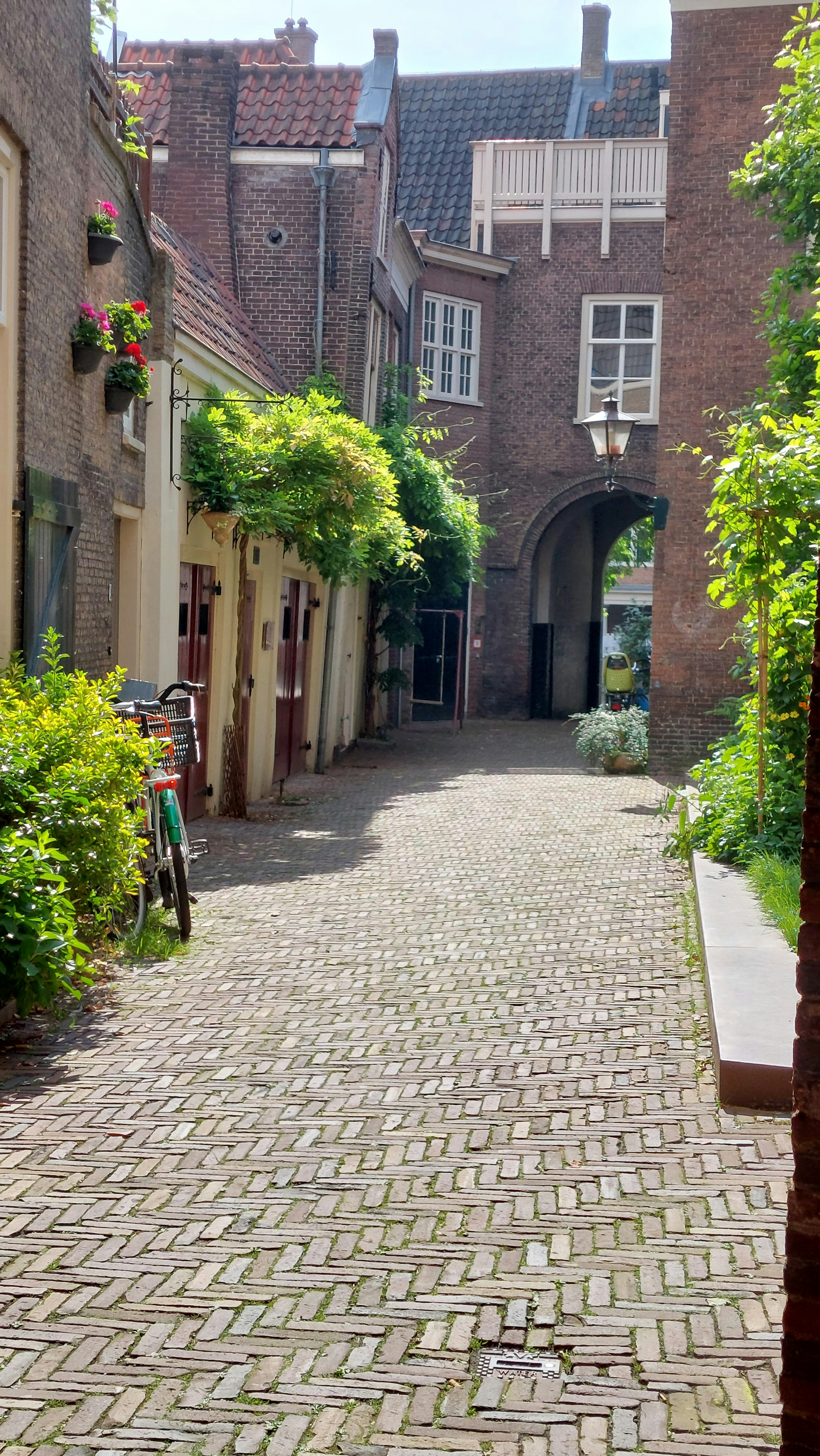 Photo by lamartine55