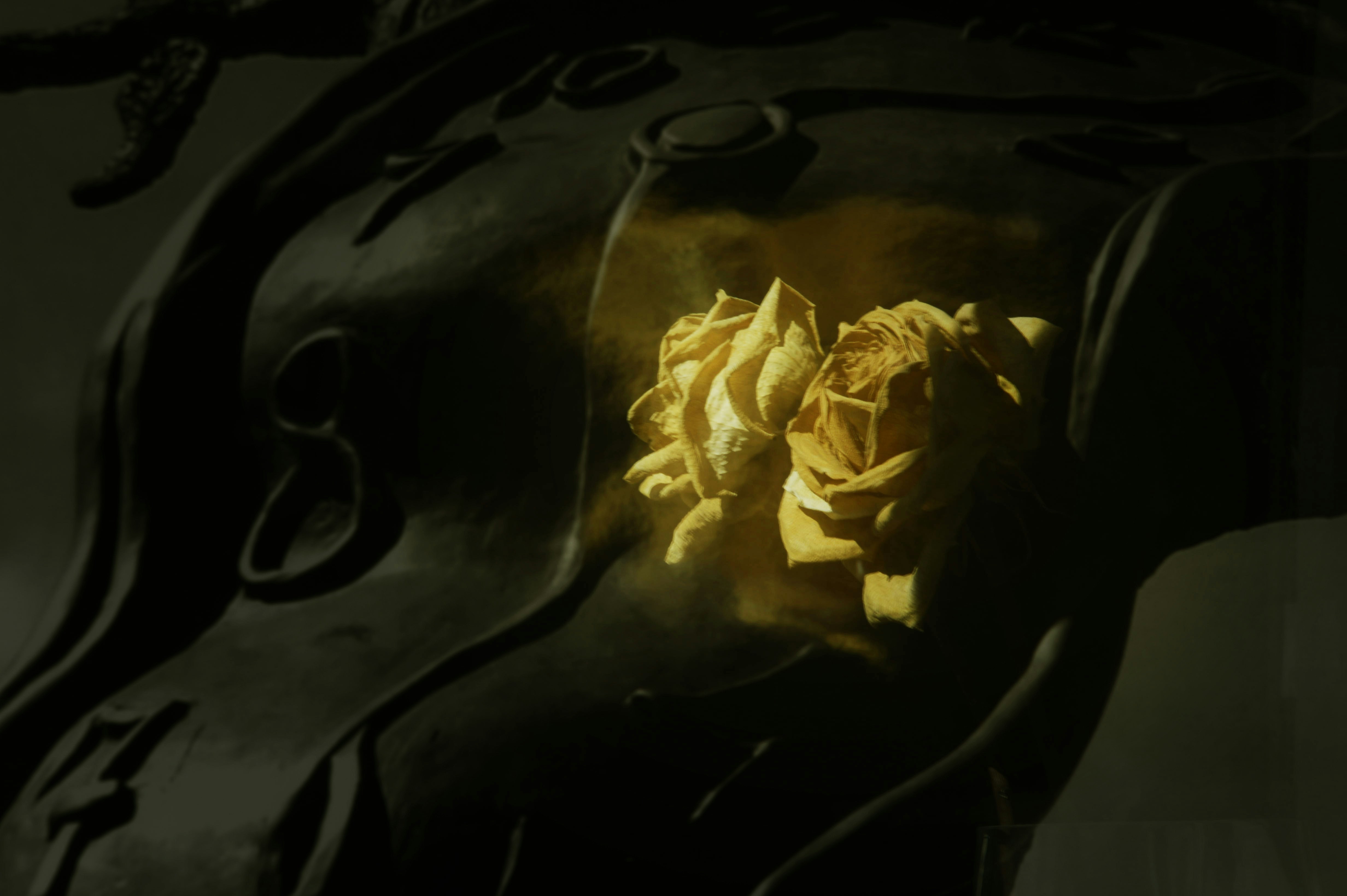 Photo by javier_virues_ortega