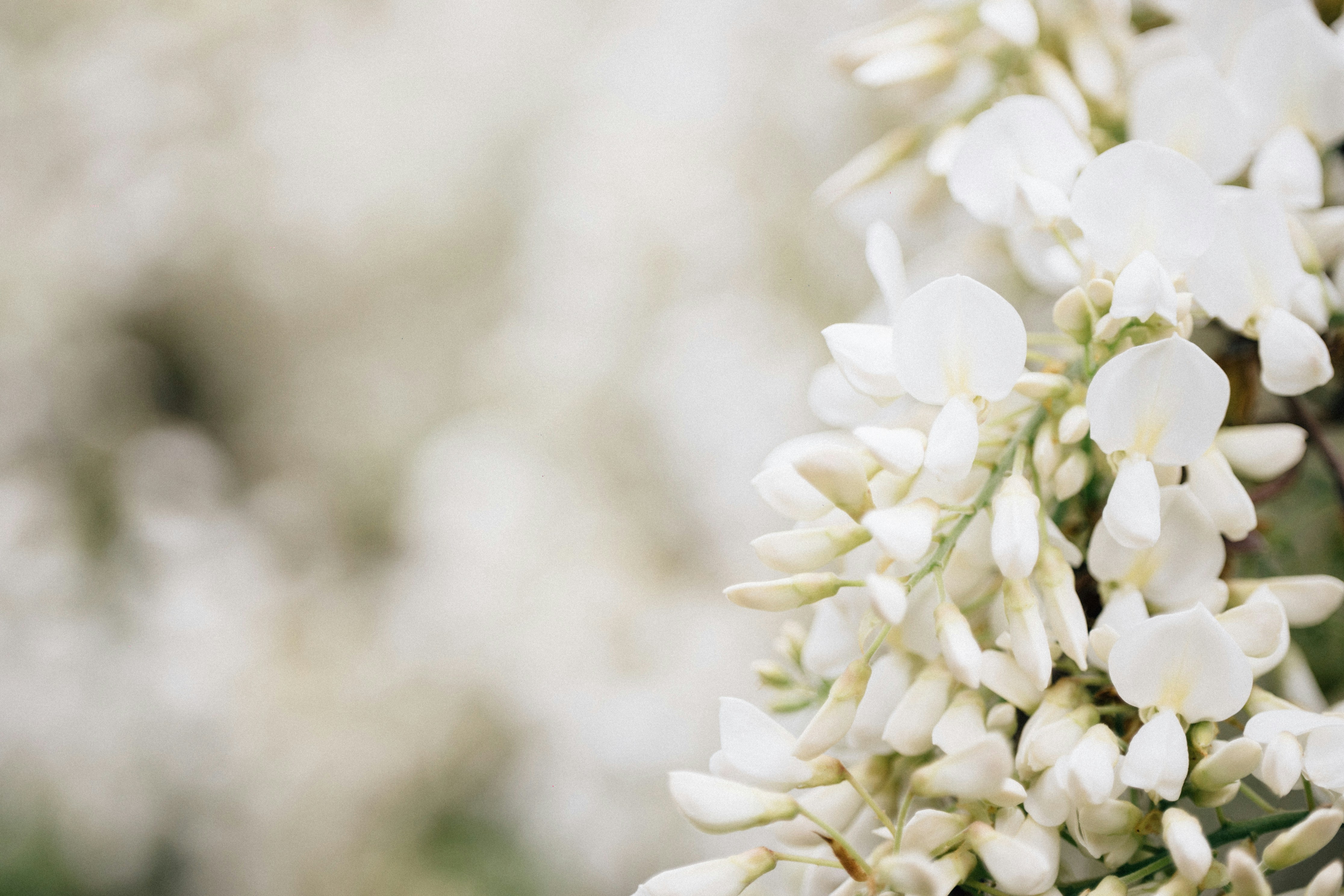 Photo by tsuyoshikozu